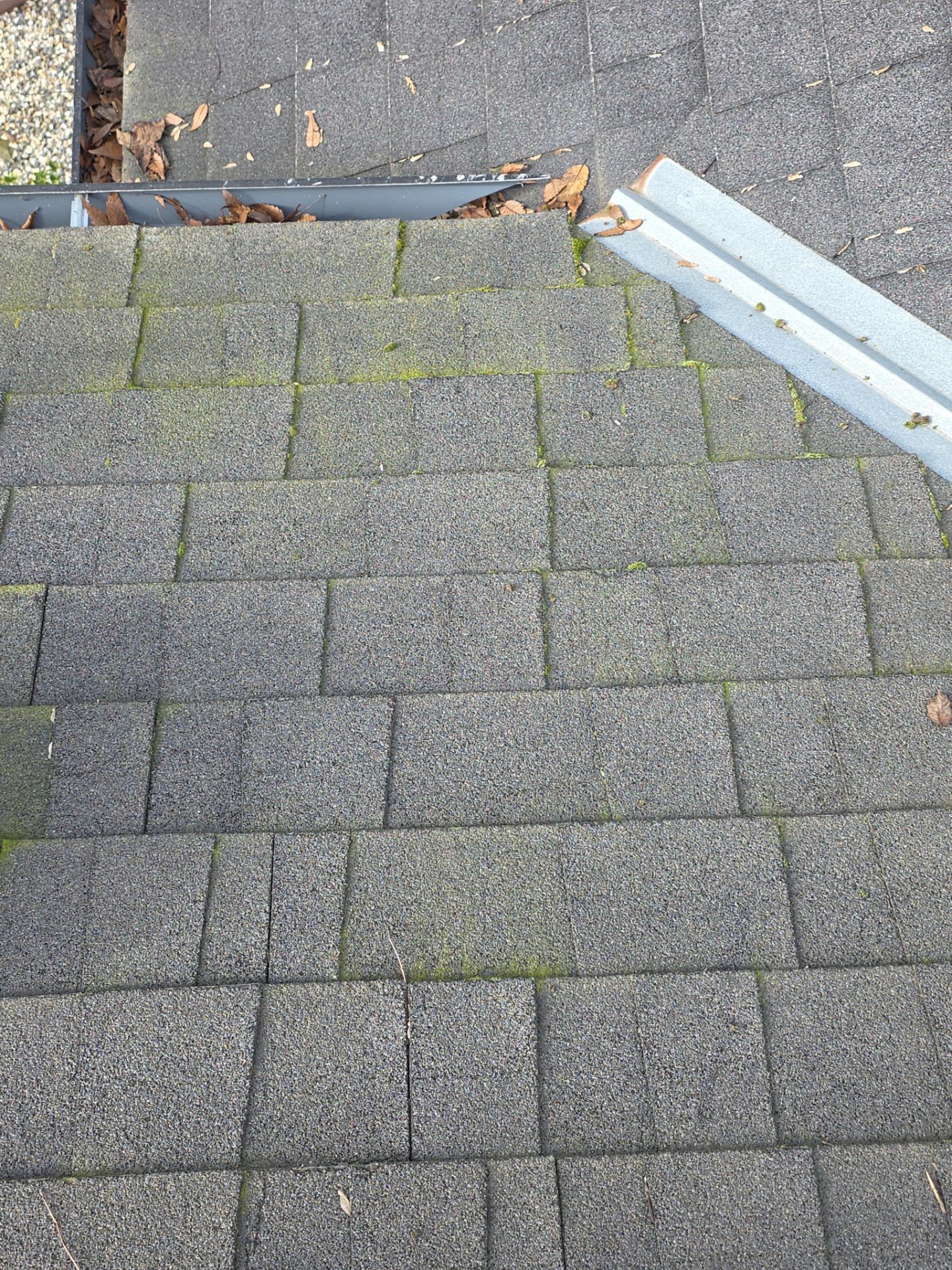 Roof Rejuvenation using Roof Maxx Treatment by Roof Maxx of Folsom