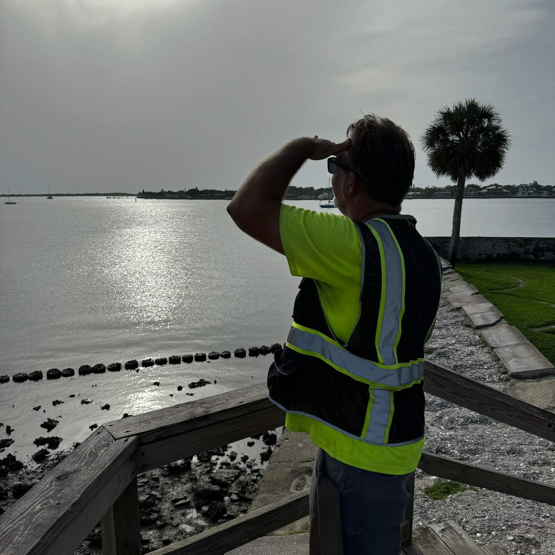 Tree Work | Castillo de San Marcos National Monument 2 by ProGreen Services
