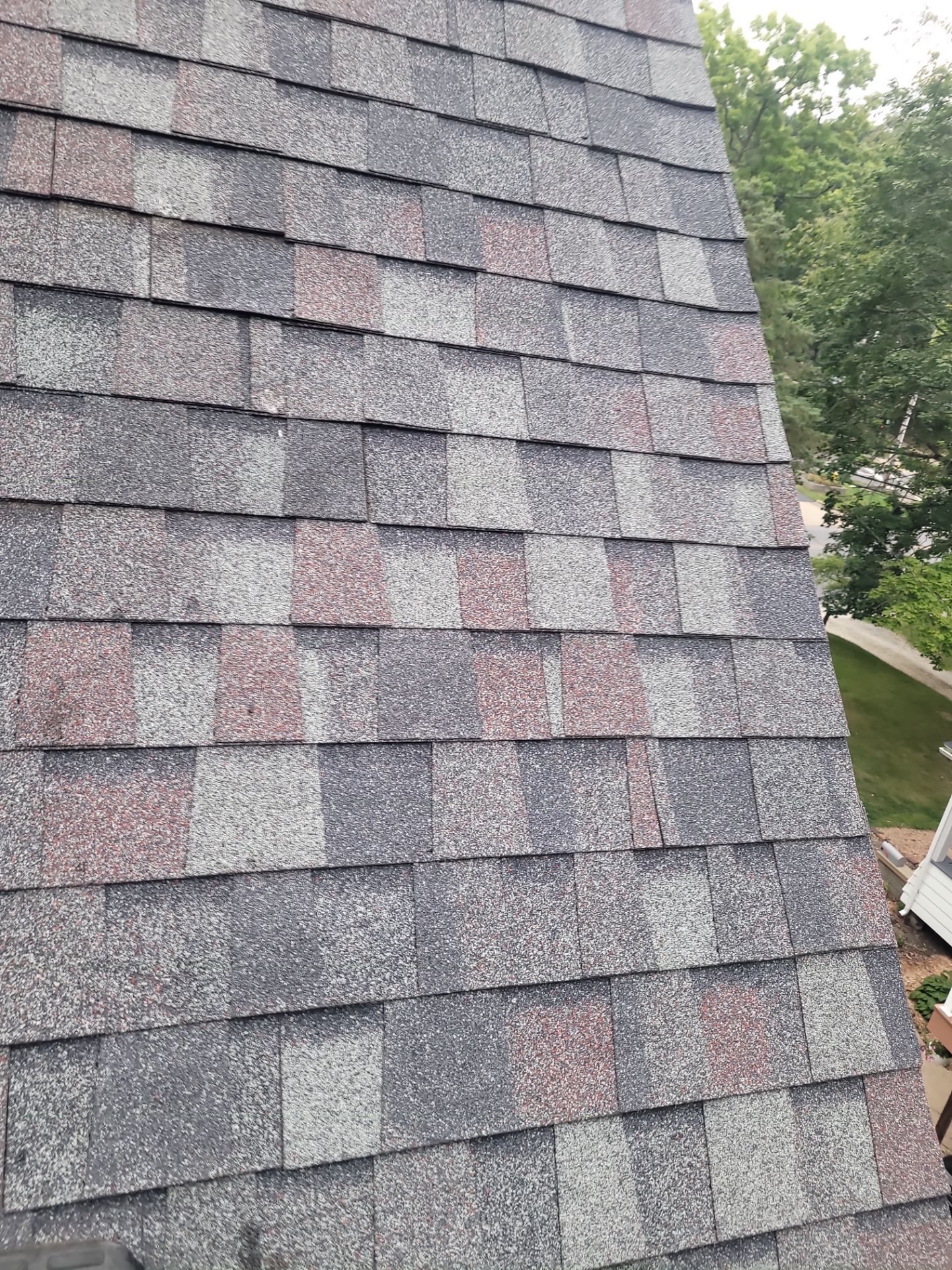 Monica Purich by Silver Leaf Contracting 