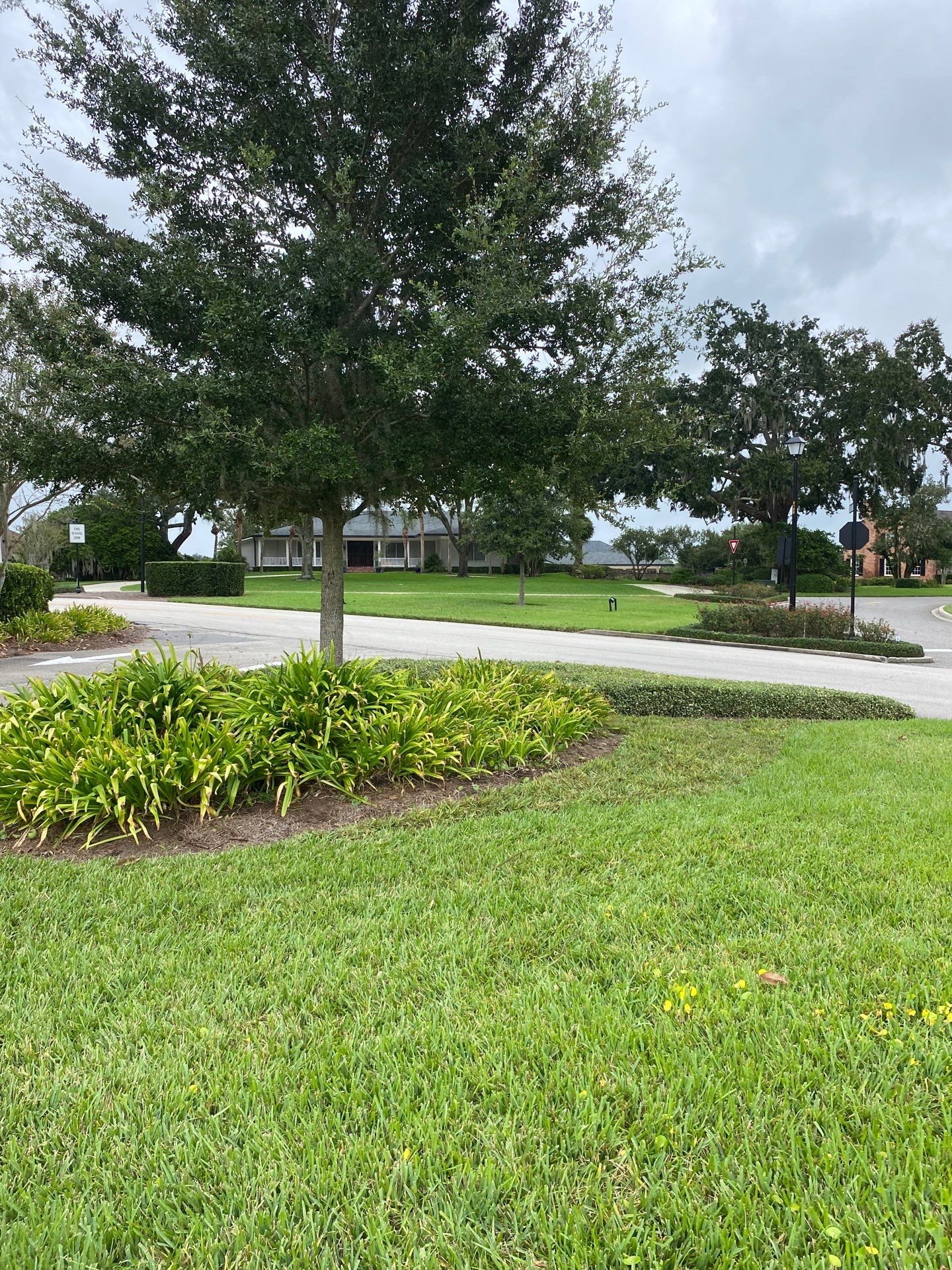 Deerwood Community | Island Landscape Replacement by ProGreen Services