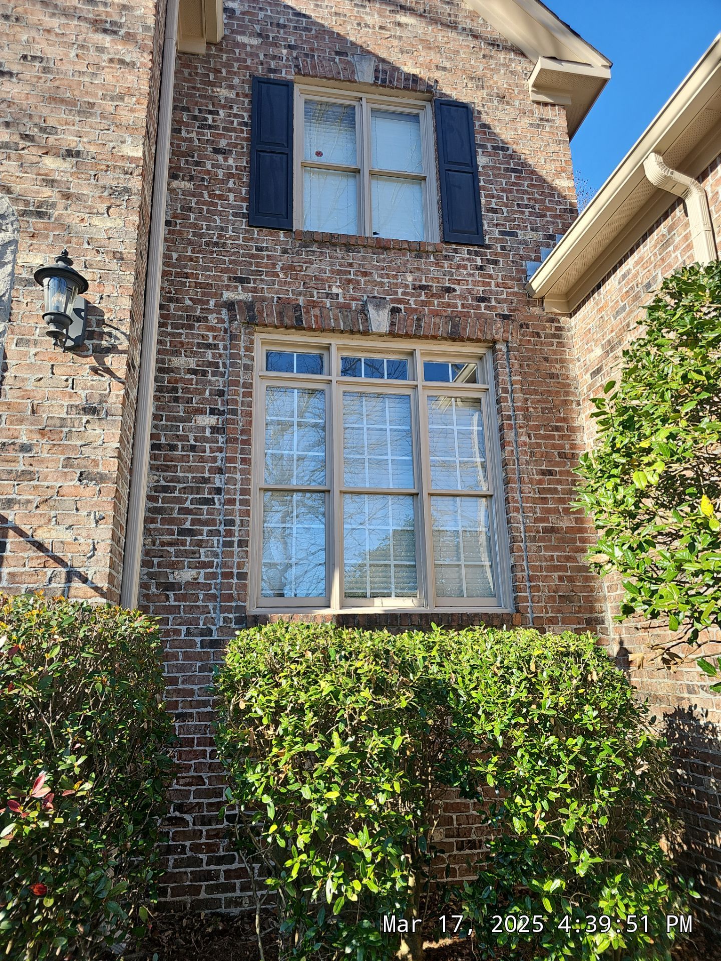 Dew Project in Hoover by The Window Source