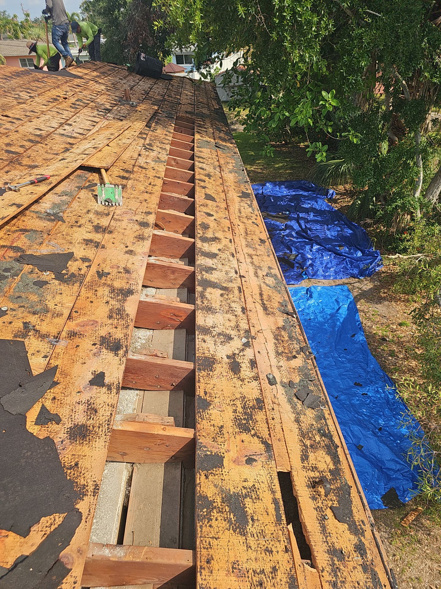 Project in St. Petersburg 33705 by Mitchell Roofing Company LLC 