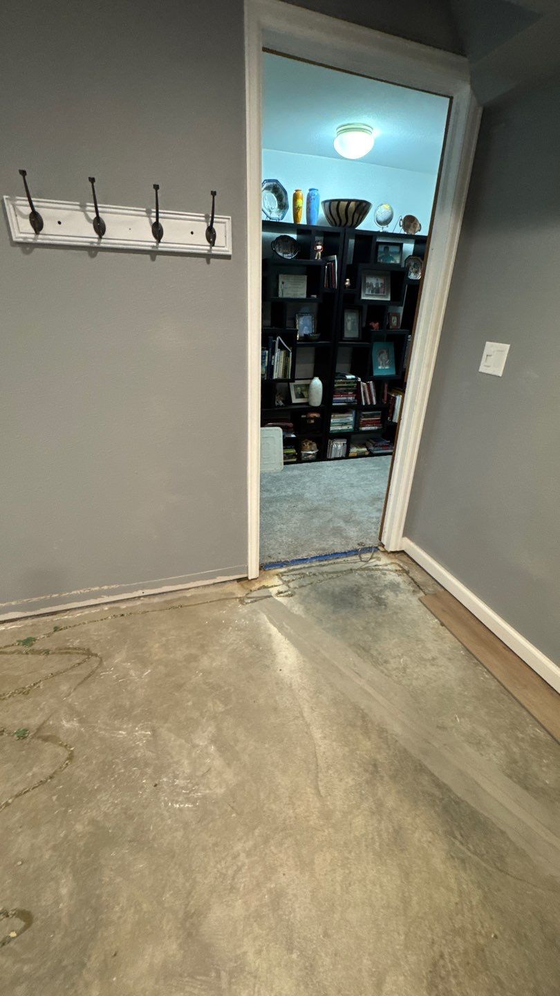 Mold Project in Thornton by Accountable Home Services