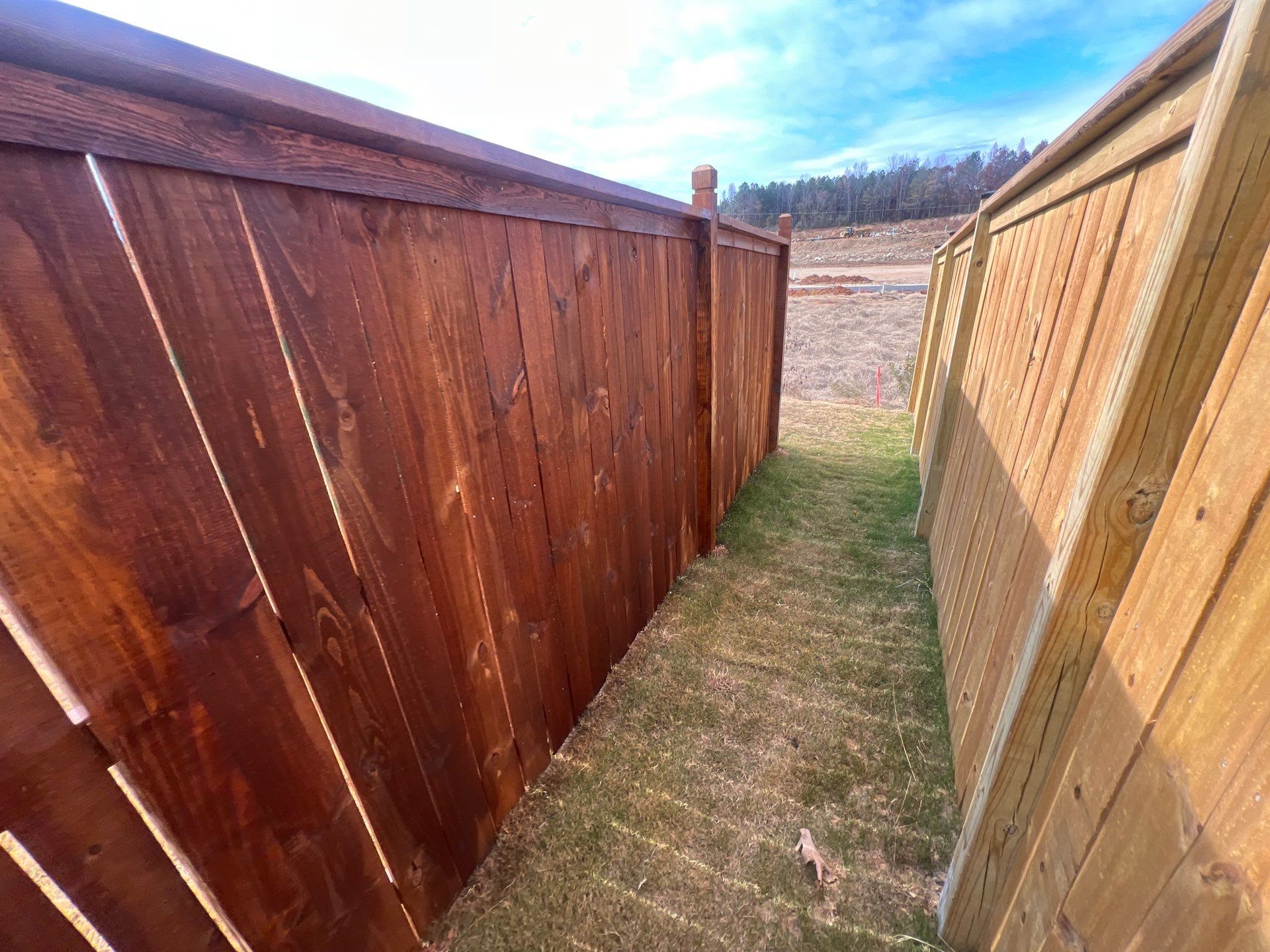 Fence Staining using Chestnut by SSE by Titans of Timber Fence & Stain