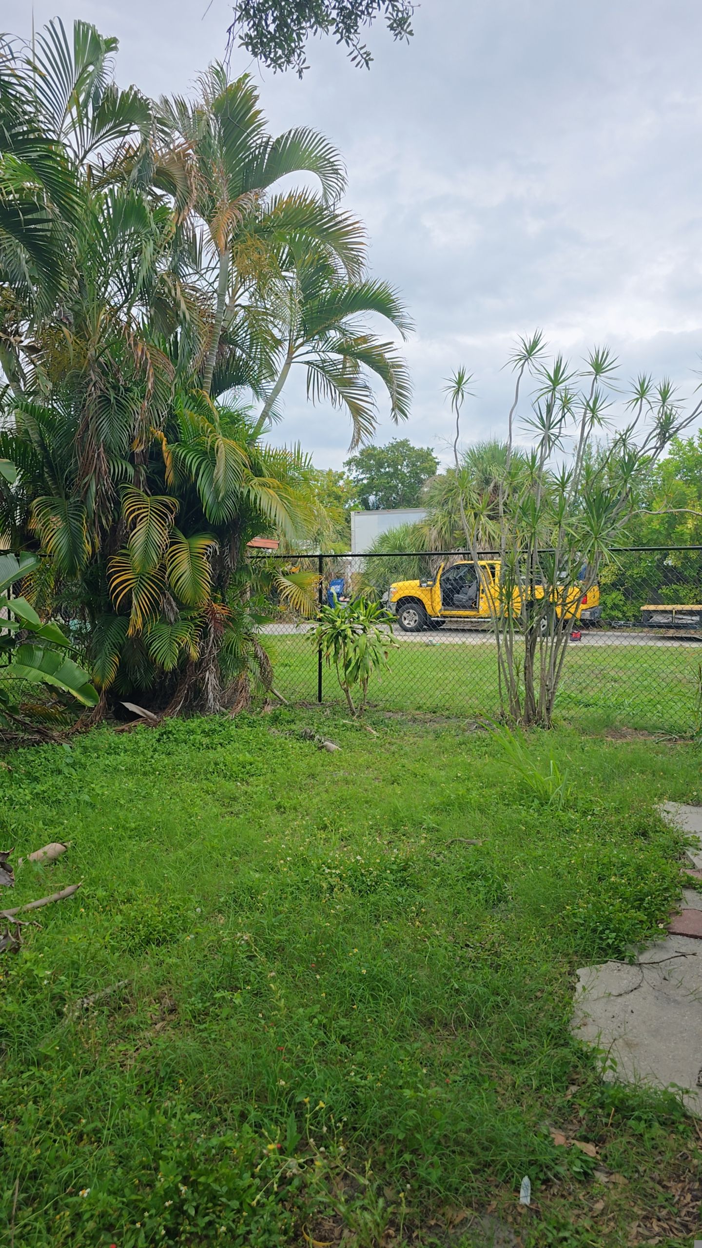 Black Vinyl Chain Link Fence Installation in Bradenton by True Fence LLC