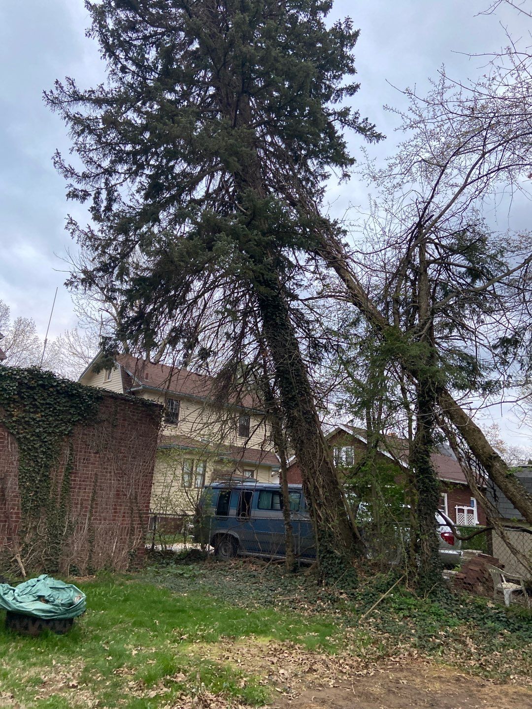 Tree Removal using Tree Removal by Mike Jones & Sons Tree Service LLC 