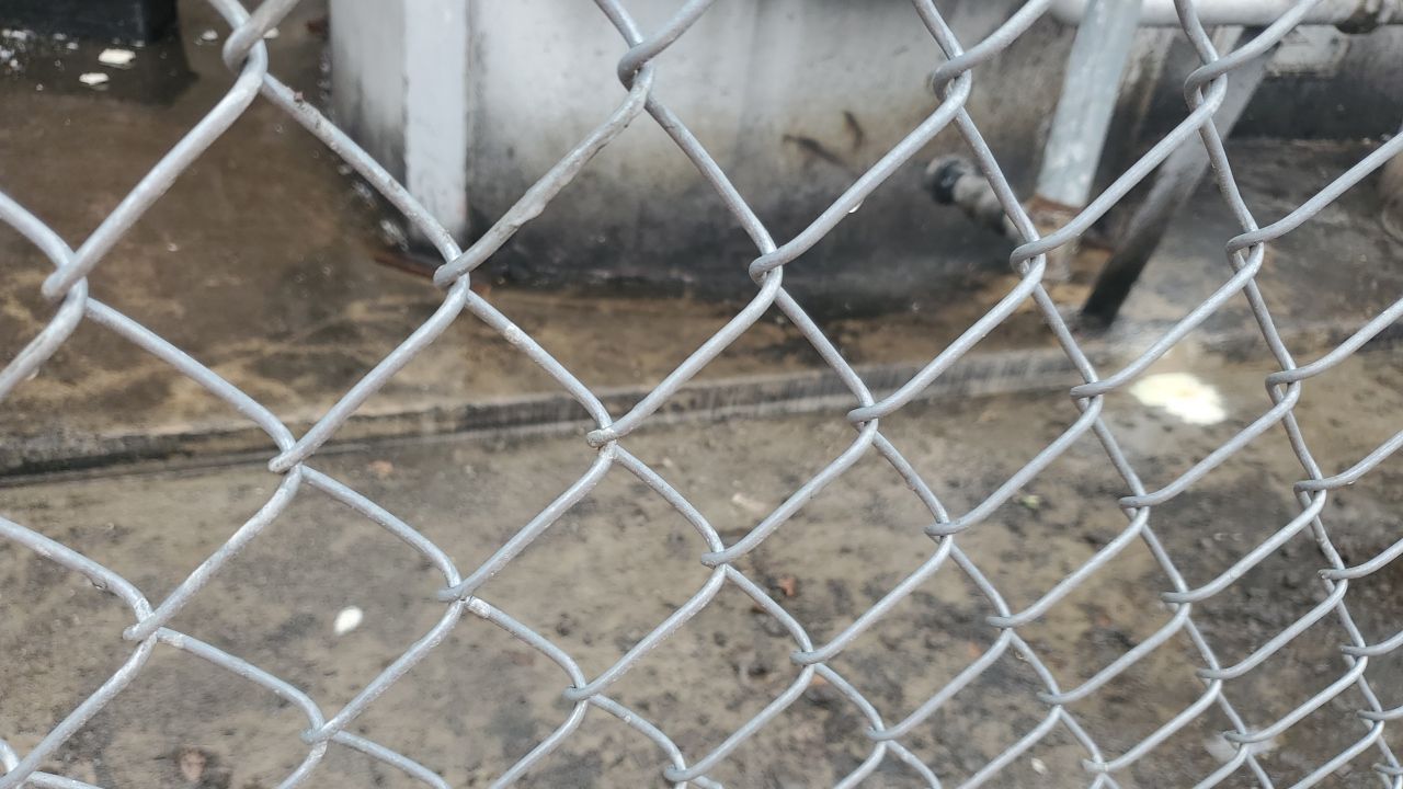 commercial pressure washing using Hot water by Northern Power Washing LLC.