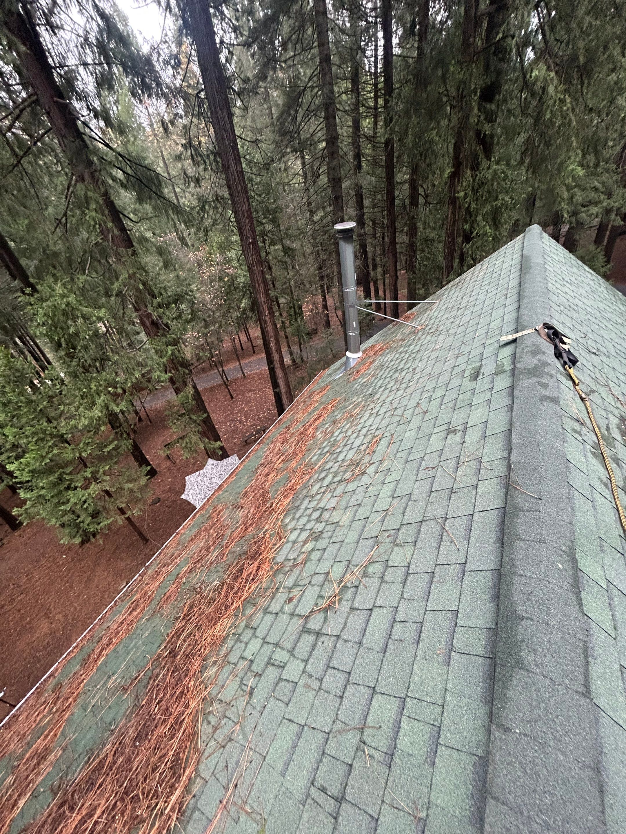 Roof Rejuvenation using Roof Maxx Treatment by Roof Maxx of Folsom