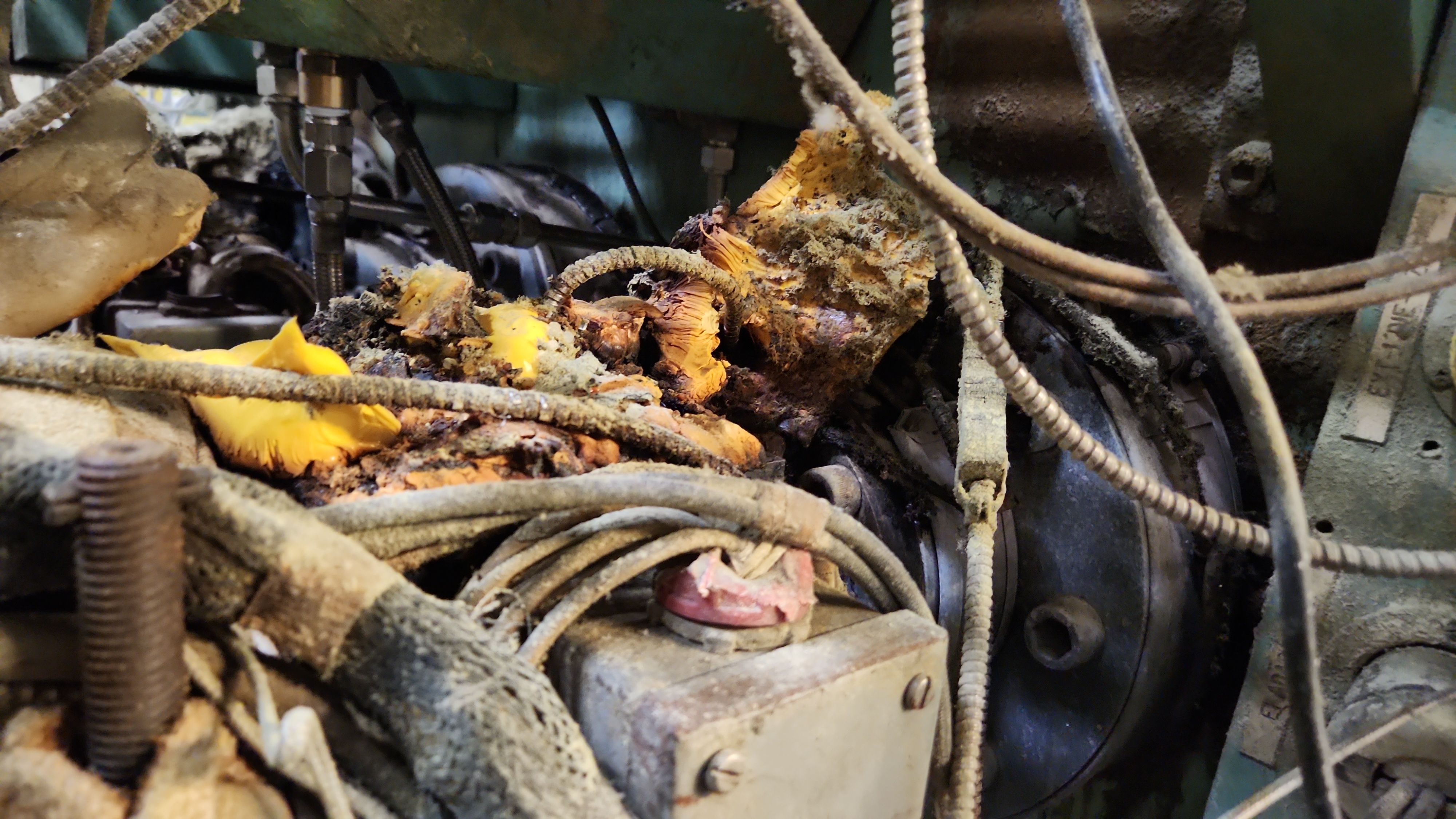 Project in Santa Ana by Altium Packaging