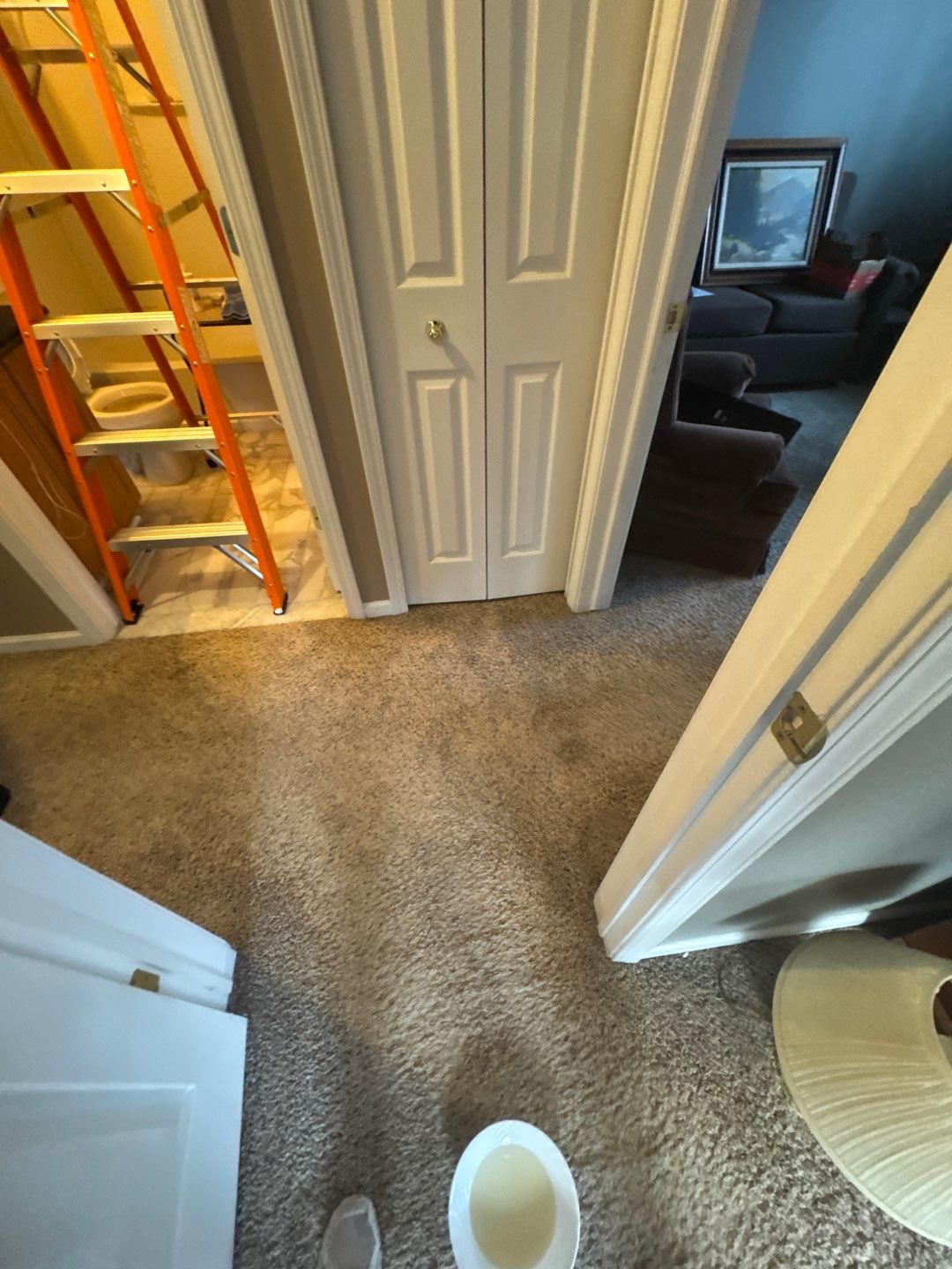 Project in Sterling Heights by EzDry Water Mitigation & Property Restoration