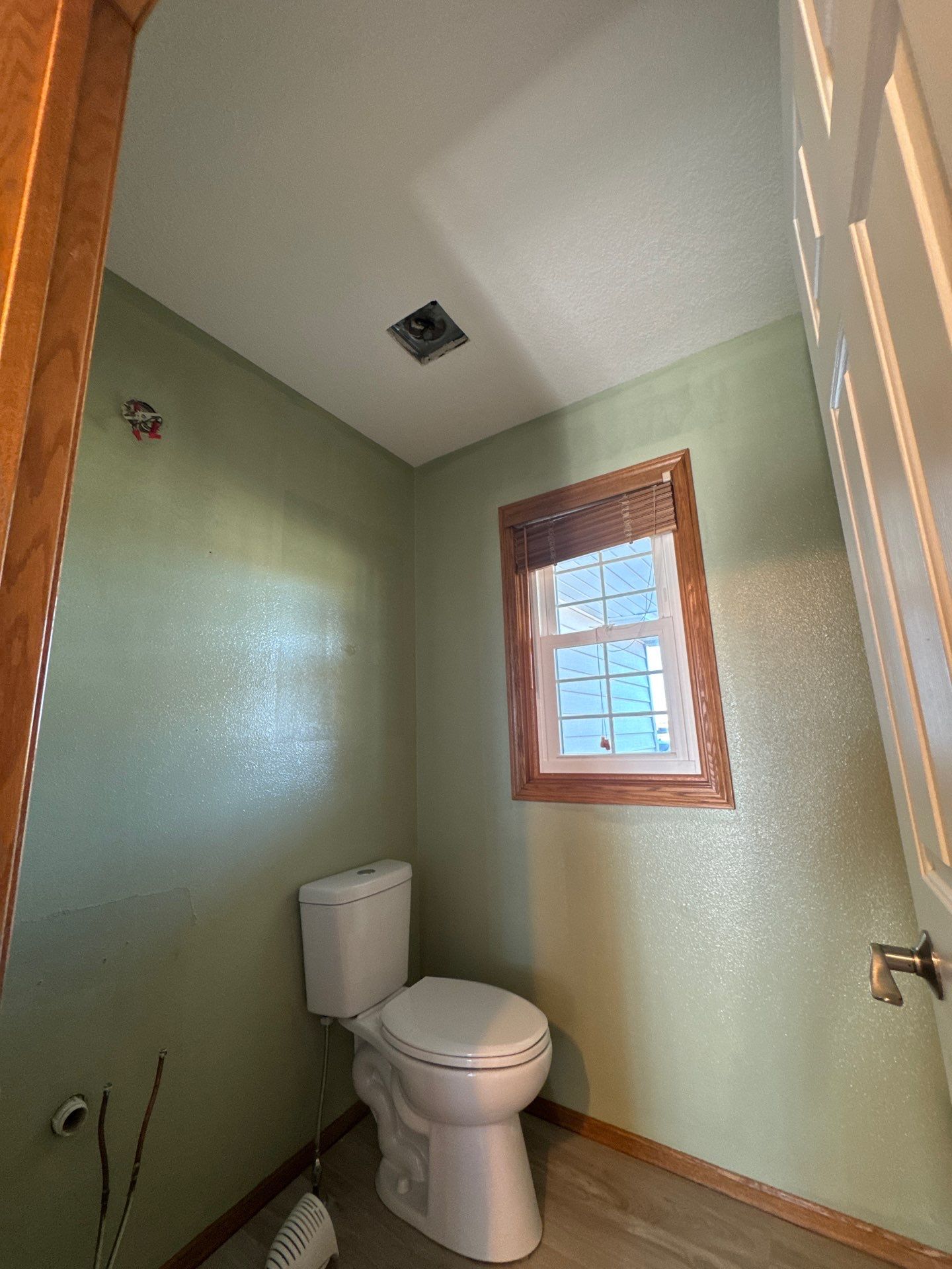 Ankeny Residential Interior | SW Duration in Natural Linen, Velvet Antler Accents & Clary Sage Bath with ProMar Flat White Ceilings by Midwest Paint LLC