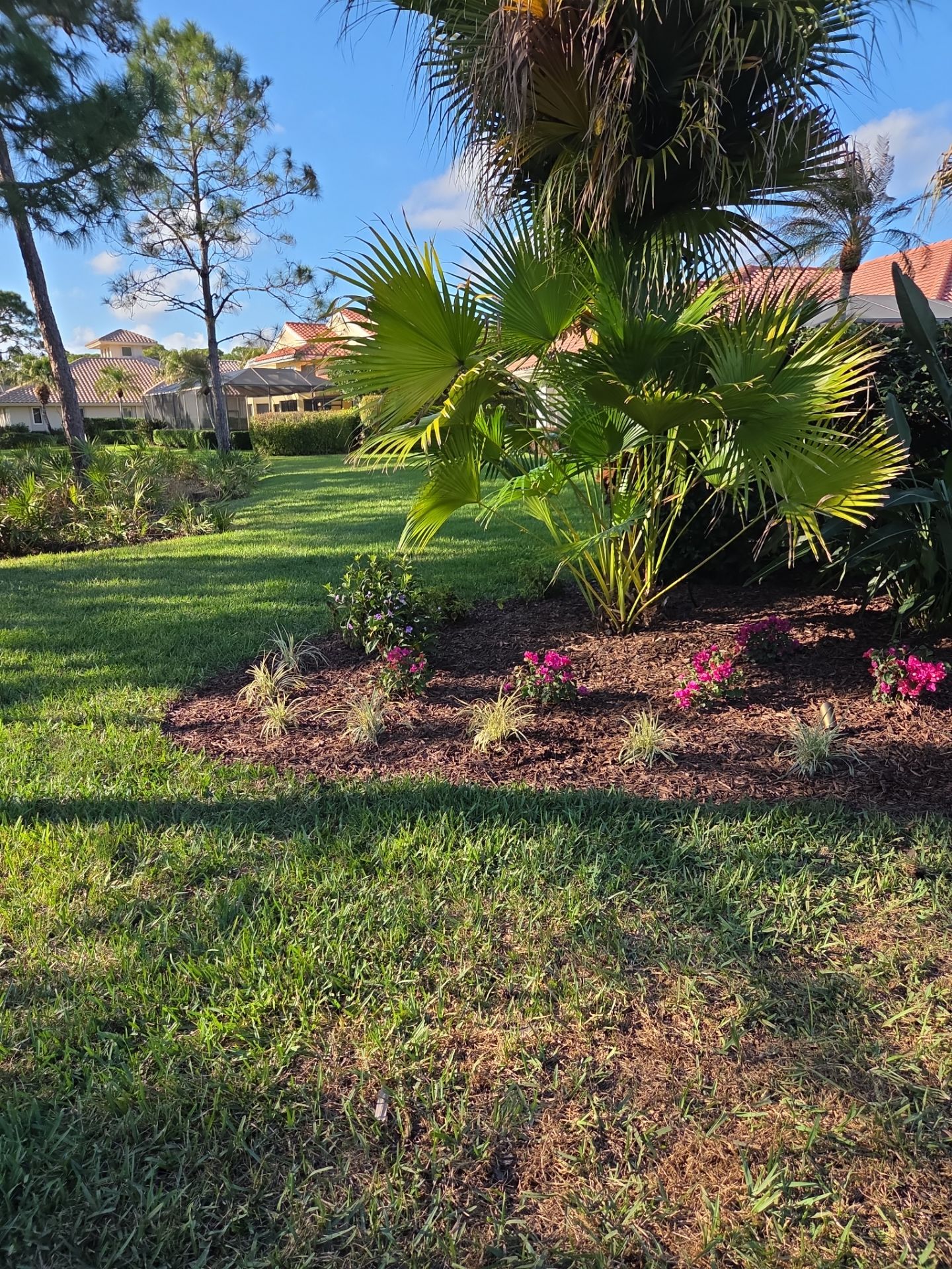 Harbour Ridge Backyard Revival by Alpha Zeta Enterprises Inc