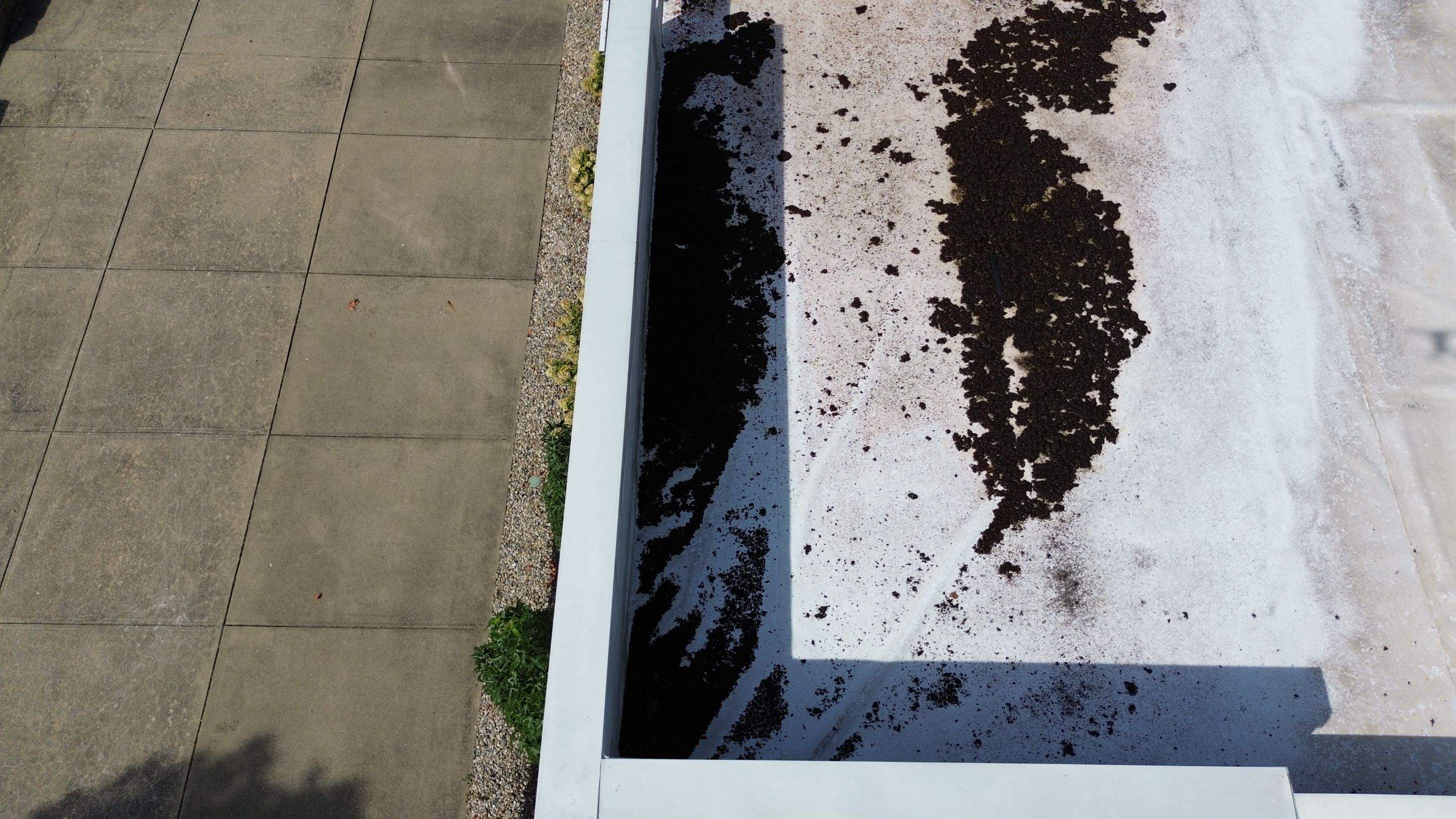 2610 Broadway St • Indianapolis, IN 46205 by 317 Roofing & Restorations