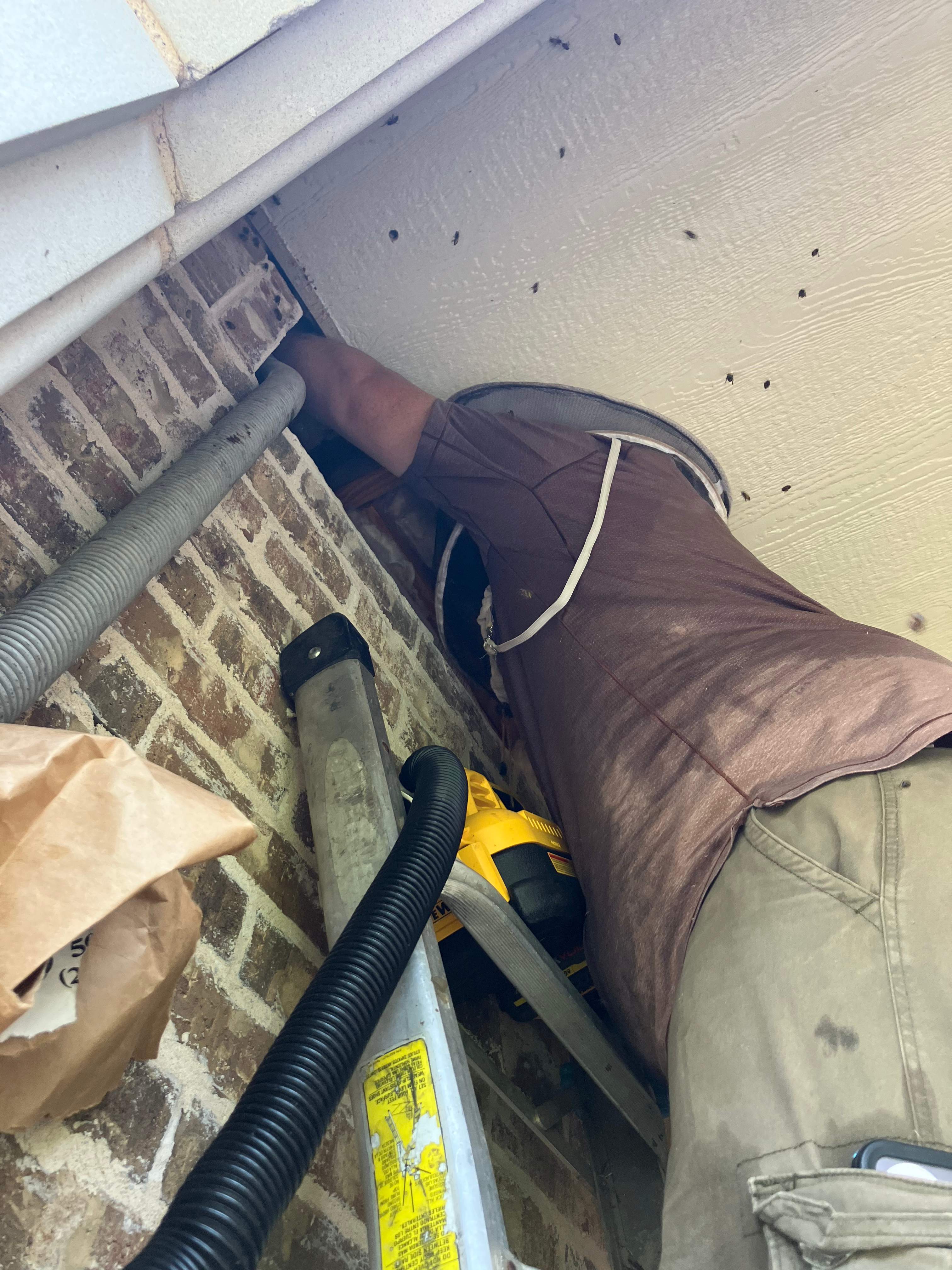 Brick Bees by Rockwall Honey Bee Company