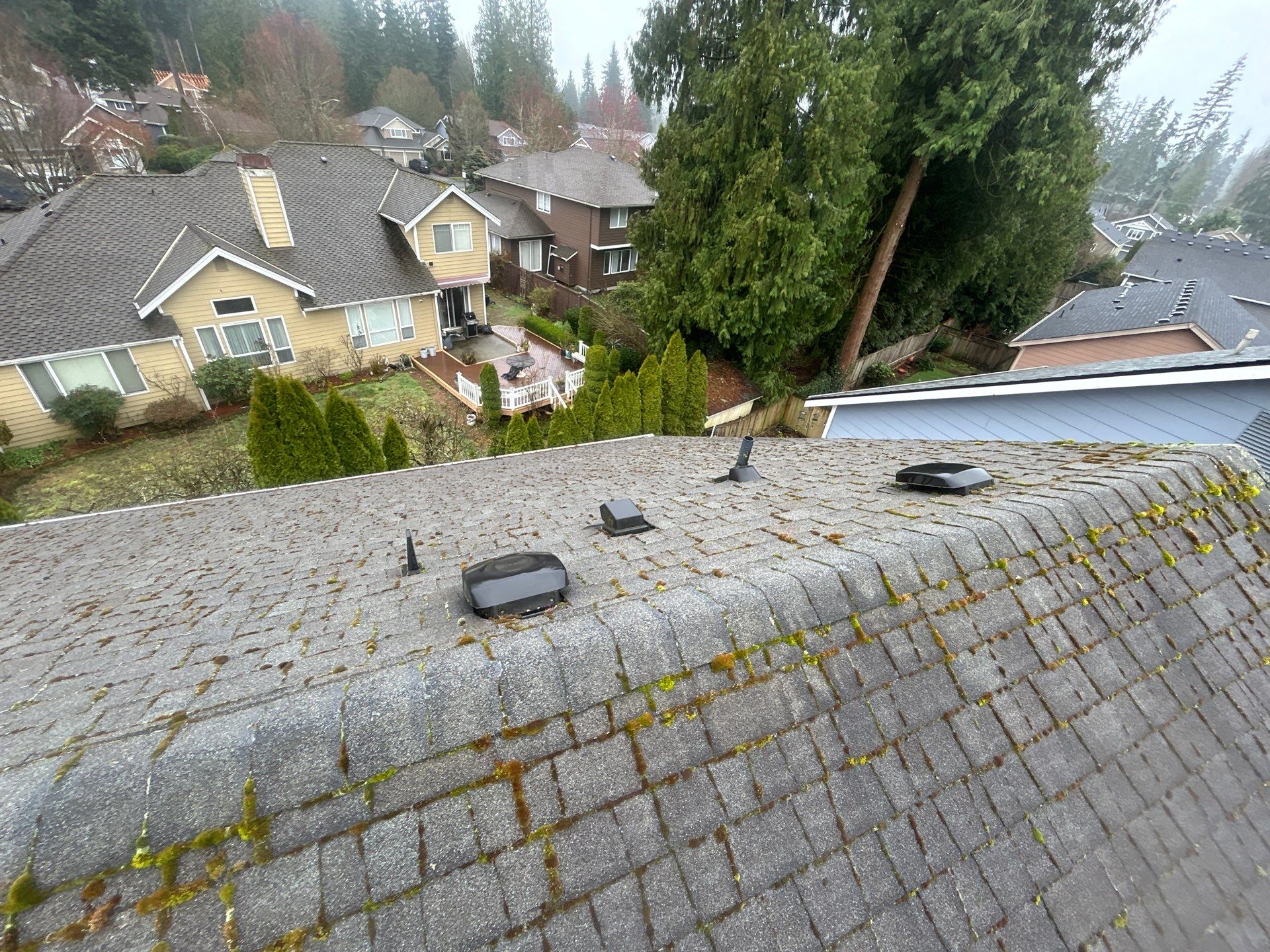 Project in Mill Creek by Peaks and Valleys Construction