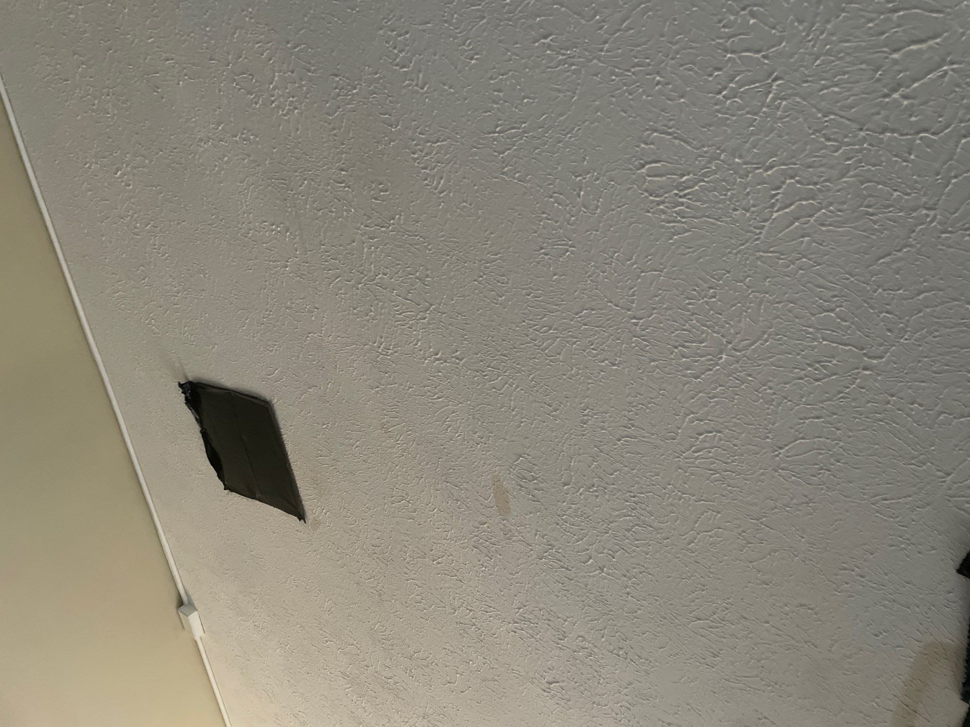 Leak pot water heater by Restoration services