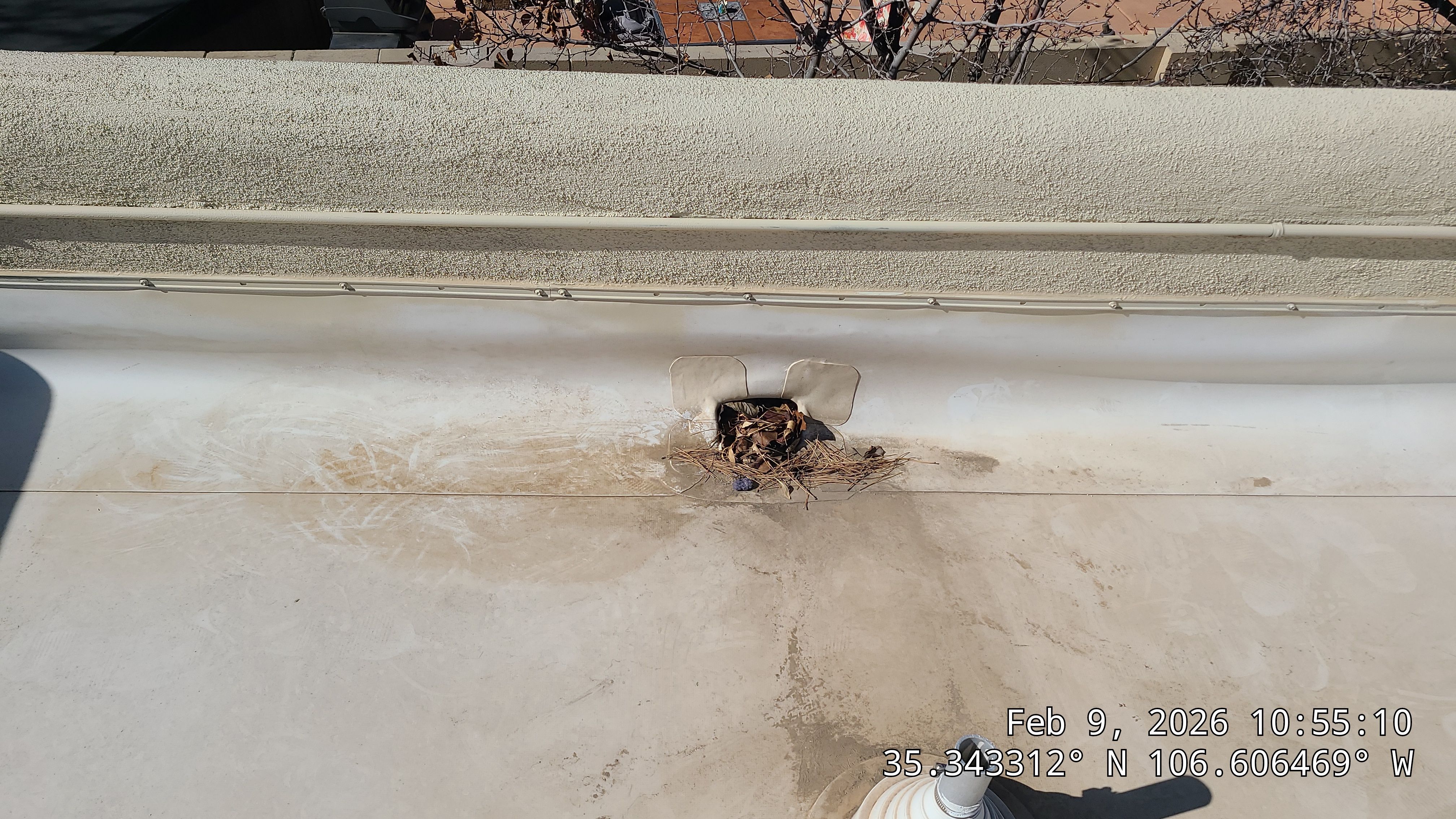 Night Hawk Dr NE by Doyle Roof Masters Inc