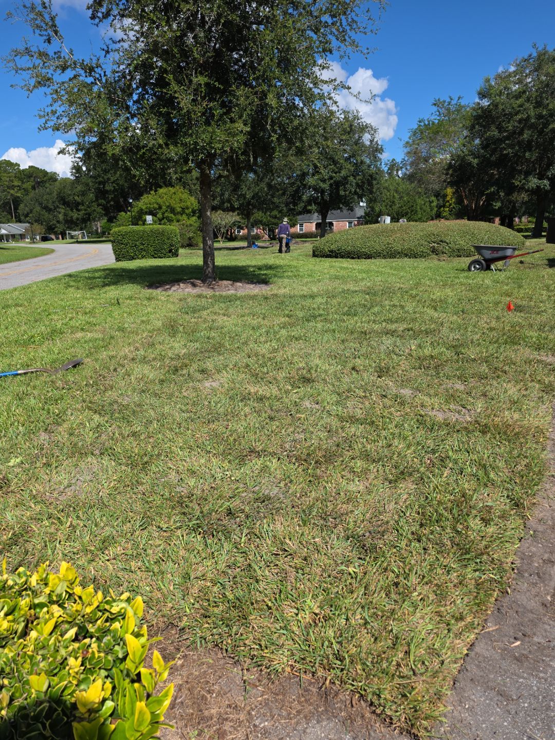 Deerwood Community | Island Landscape Replacement by ProGreen Services