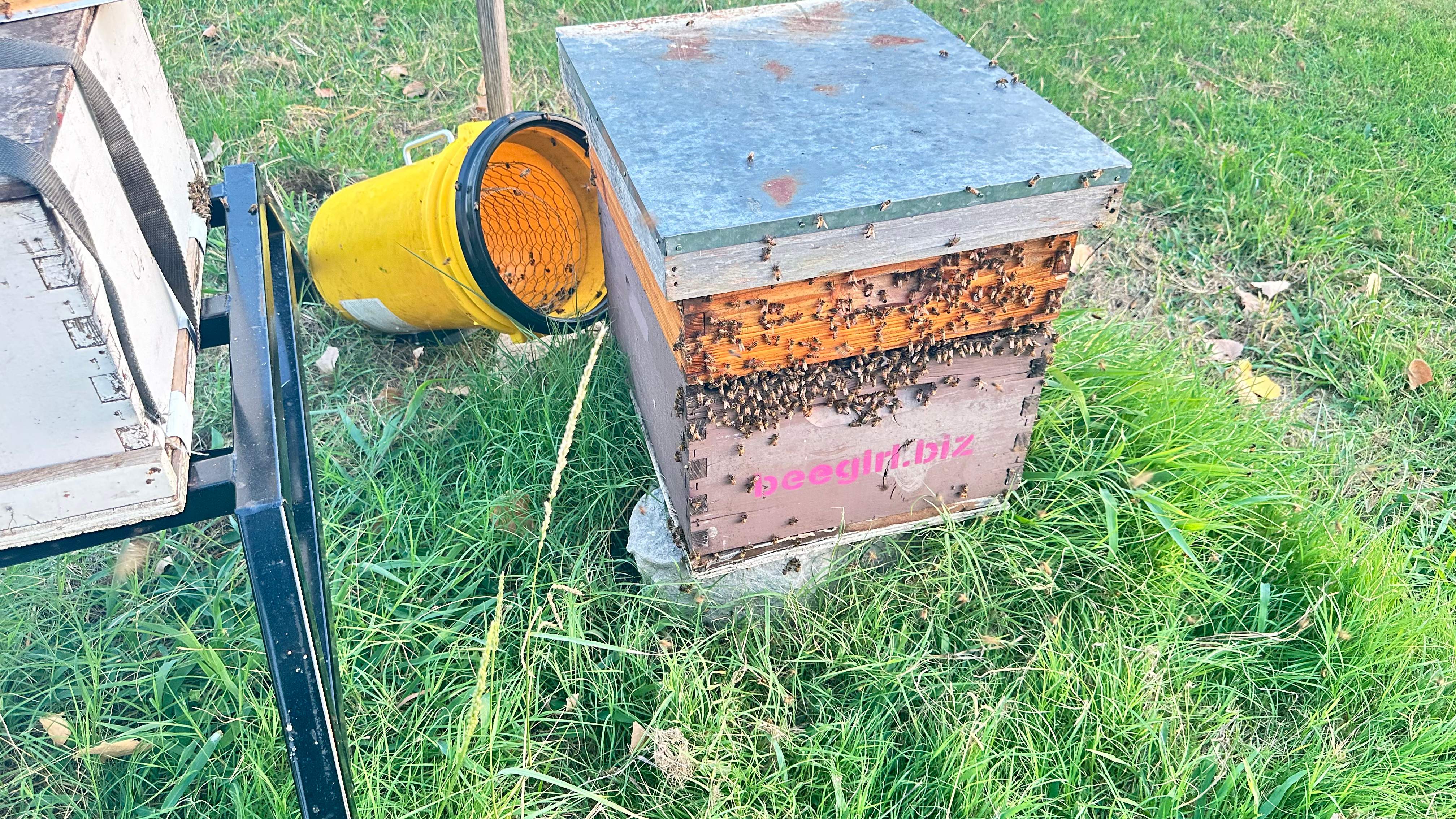 McSoffit by Rockwall Honey Bee Company