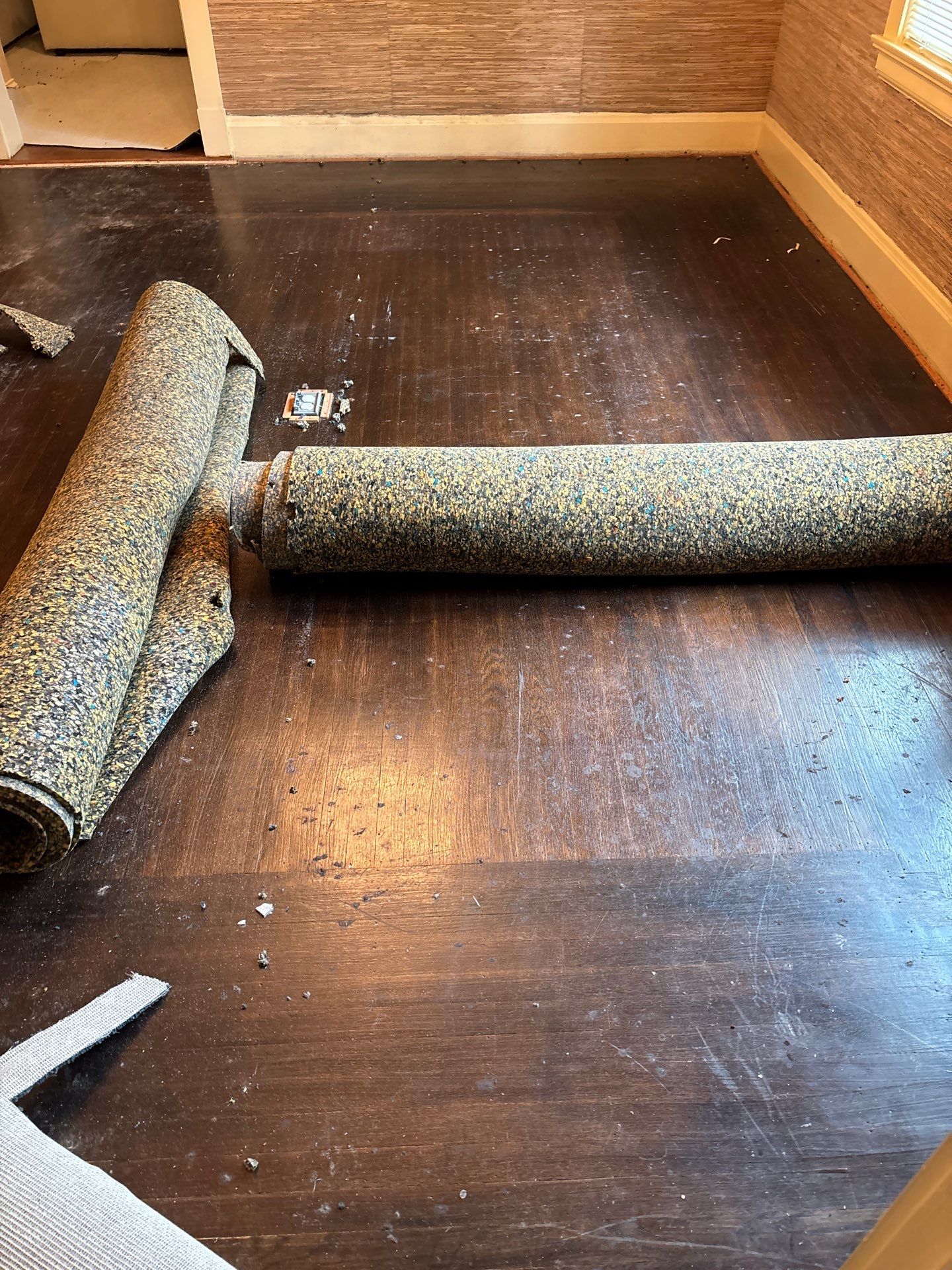 Carpet to Hardwood by Footprints Floors Kentucky