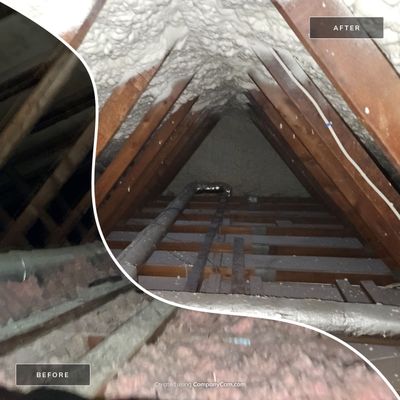 Project in Vienna, VA