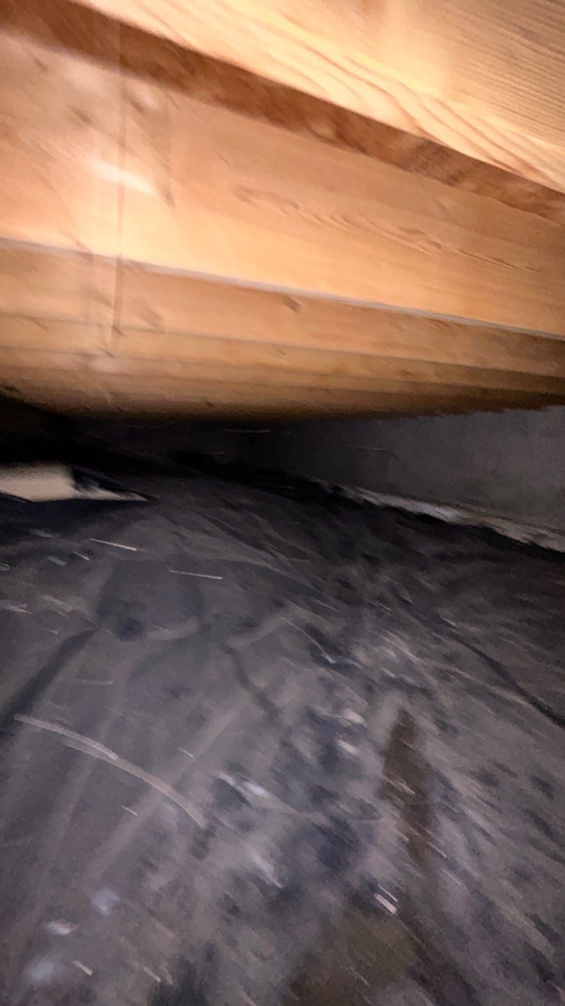 Mold Damage by Accountable Home Services