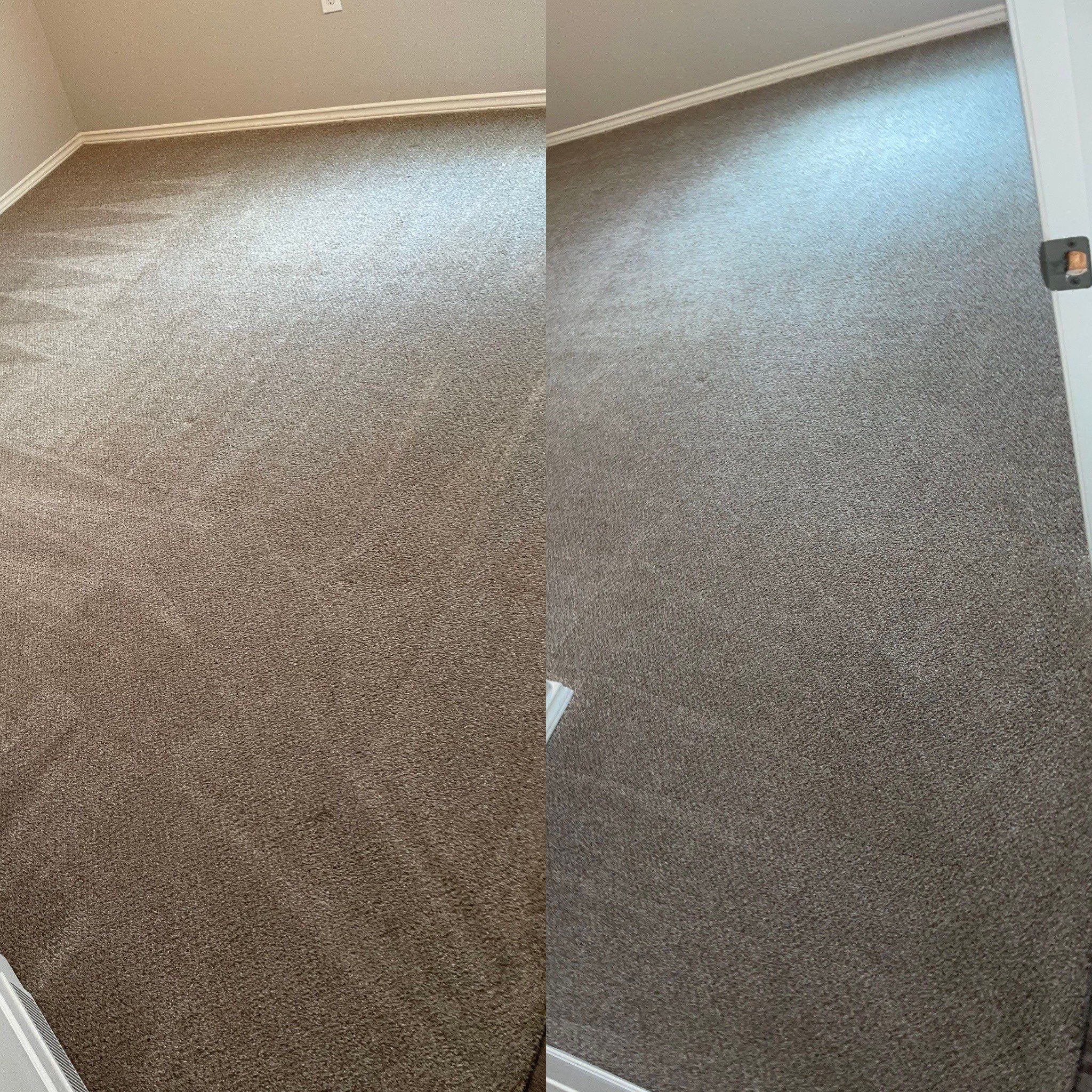 the carpet cleaning company is cleaning and restoring the carpet in a room making it look cleaner and refreshed