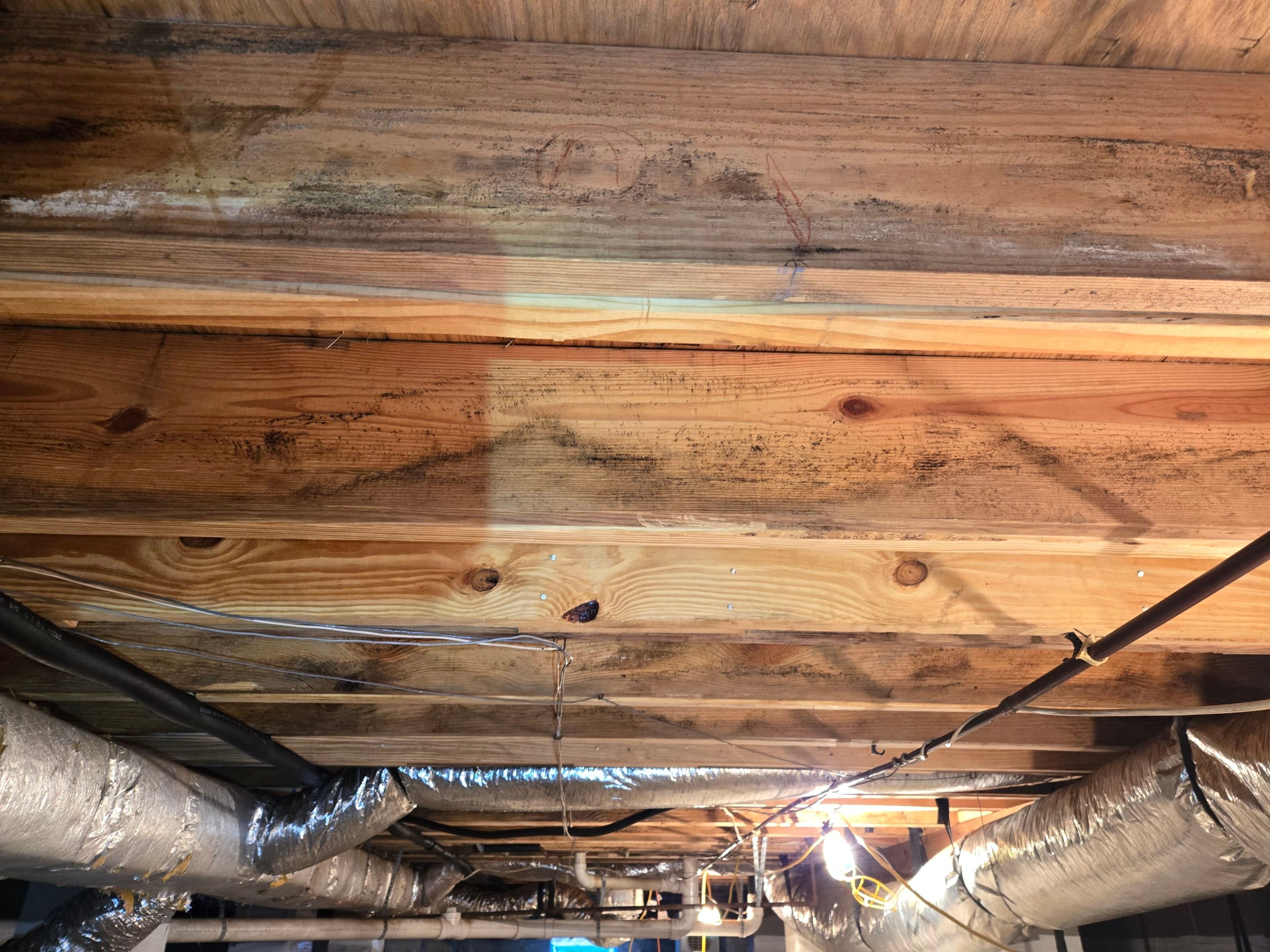 Project in Williamsburg by Patriot Crawl Space Repairs