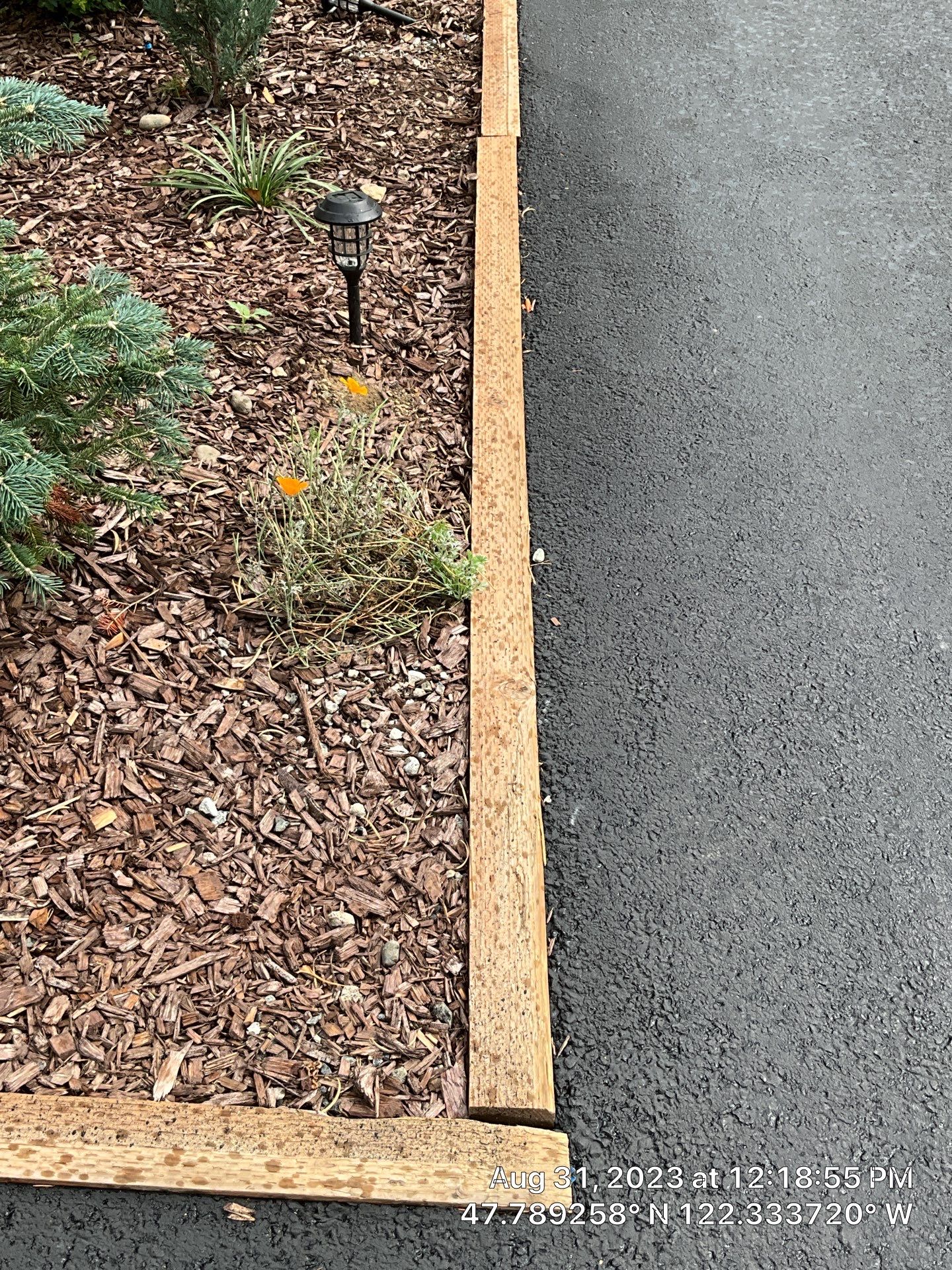 Bonnie | Asphalt Driveway Repair  by Jireh Asphalt & Concrete Inc 