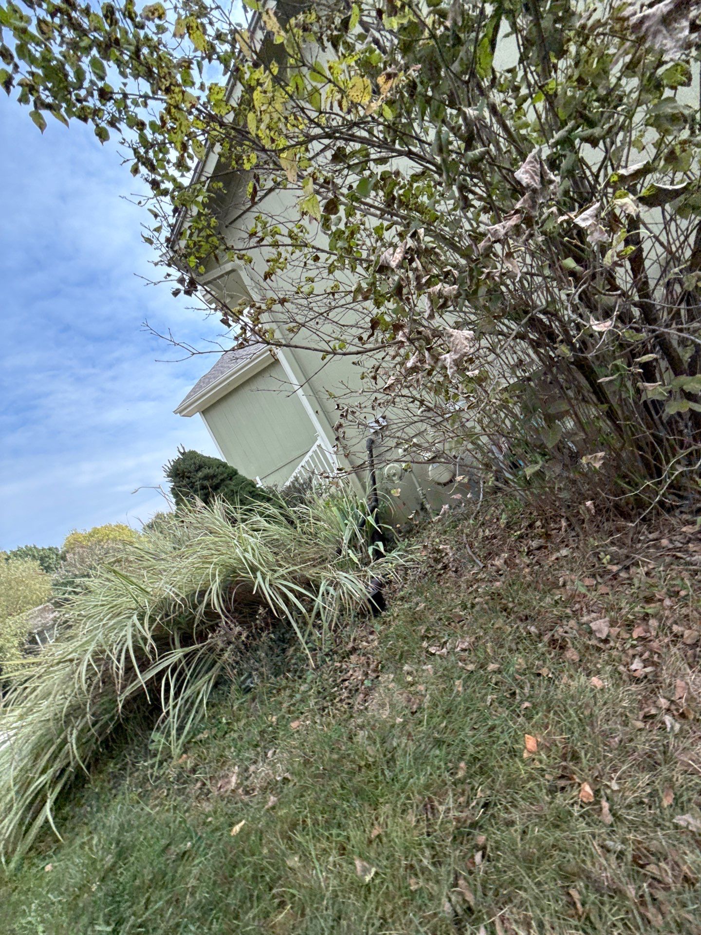 Split Entry in Smokey Ash Craneboard D7 by EEC  Windows, Siding & Roofing 