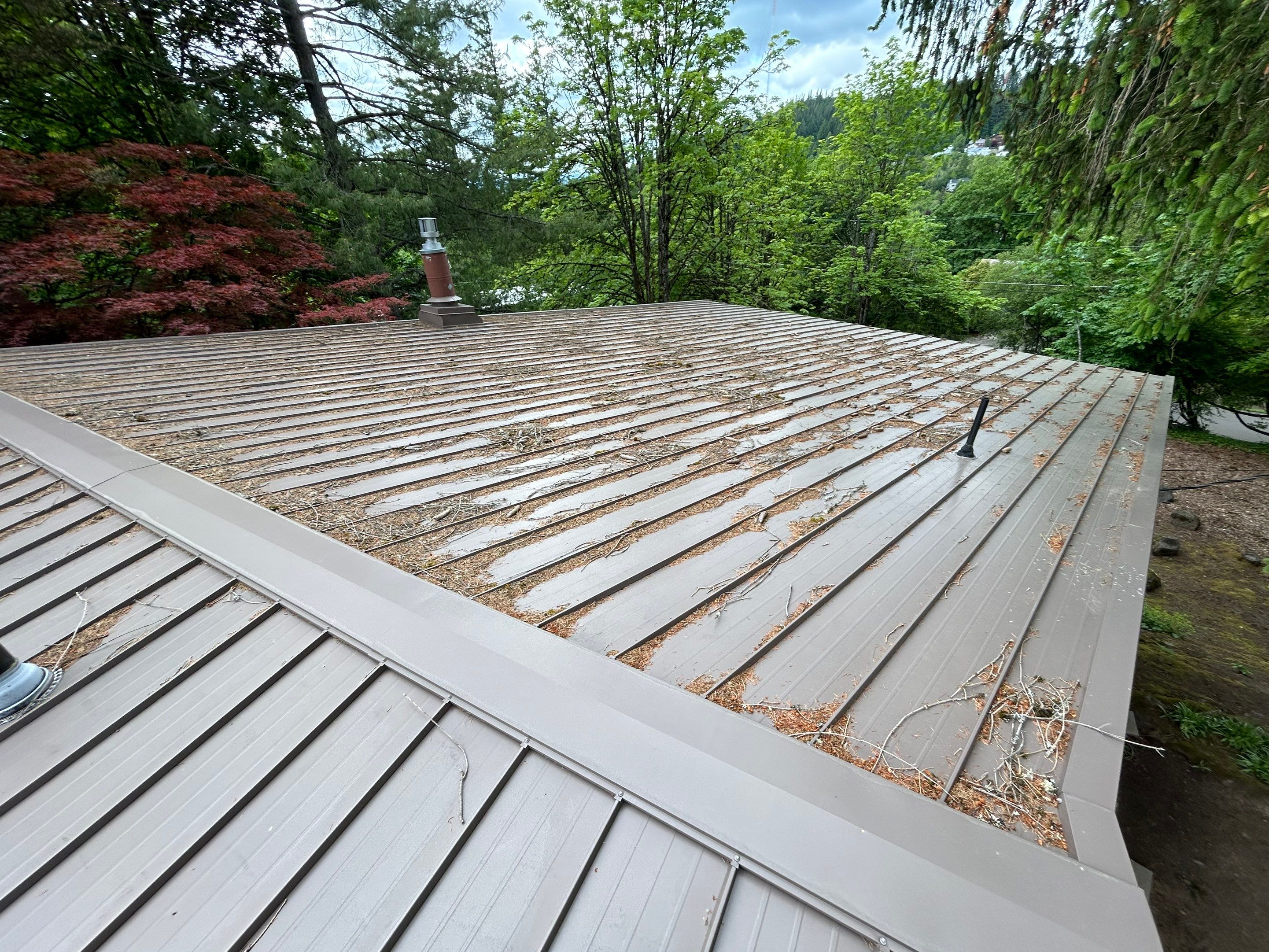 Roof Cleaning in Portland by Prodigy Roof Solutions