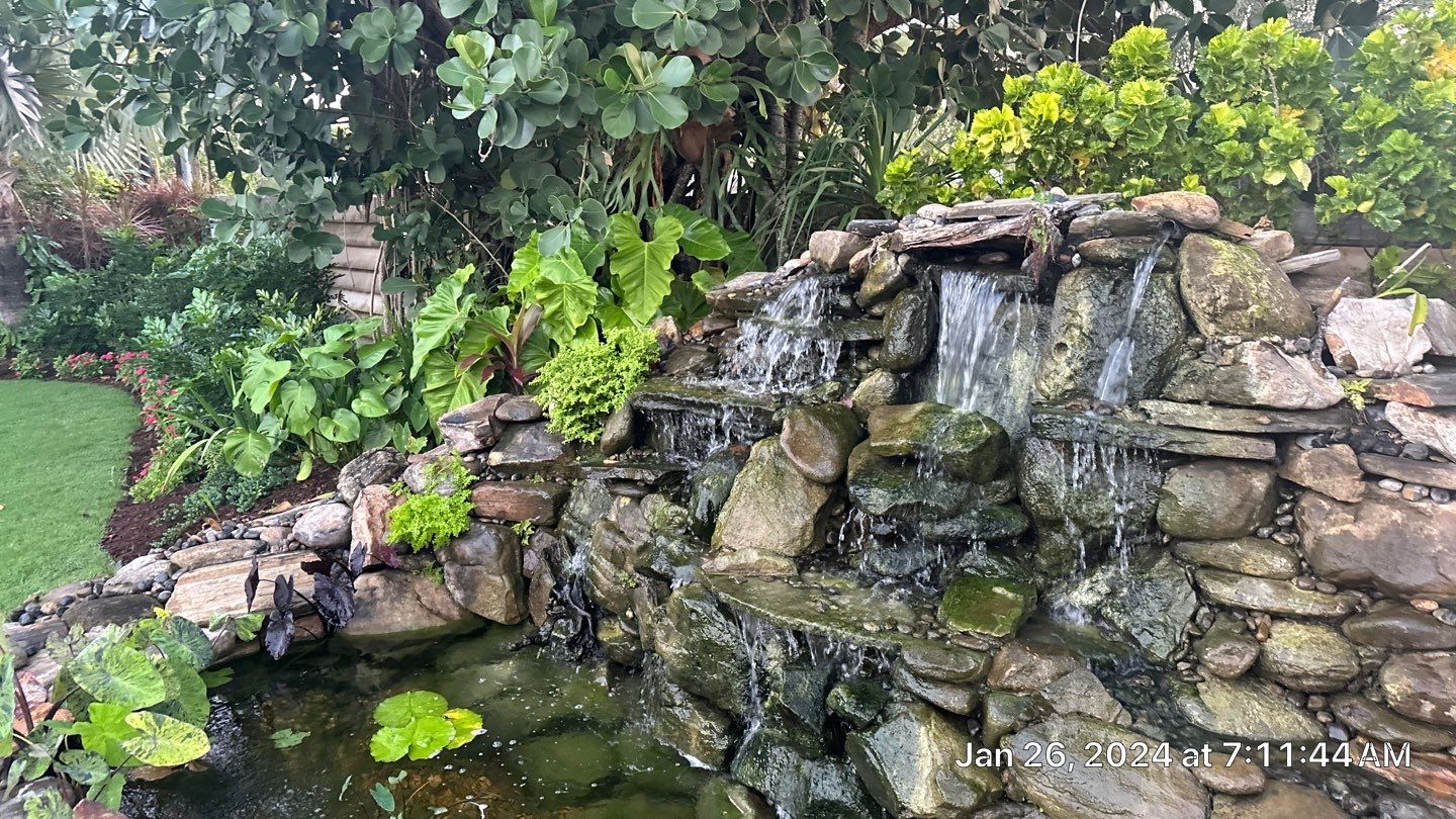 A Beautiful Relaxing Koi Pond with Waterfall in Pinecrest by Nature's Dream Landscape and Tree Service