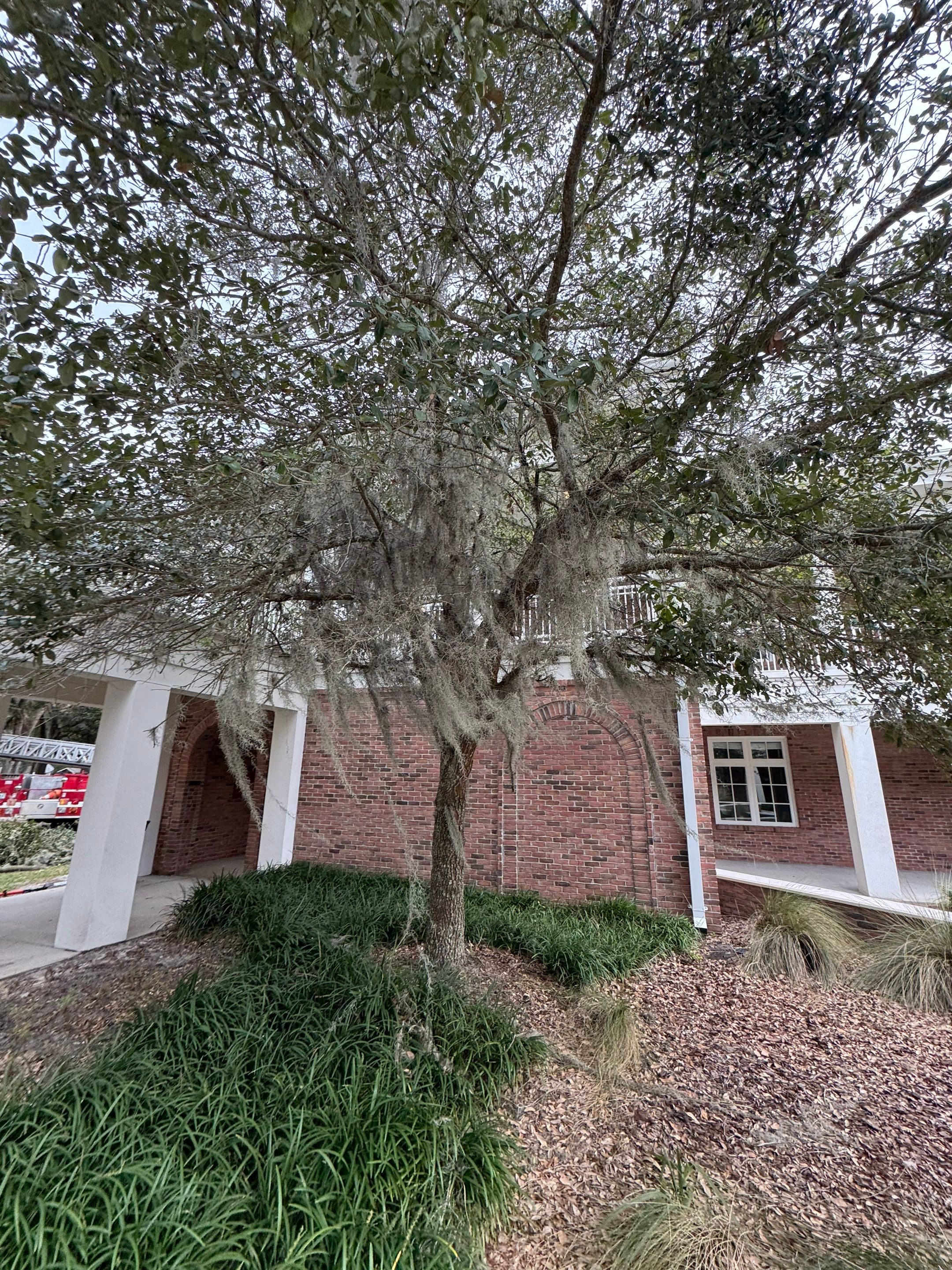 Volunteer Work | Episcopal High School of Jacksonville by ProGreen Services