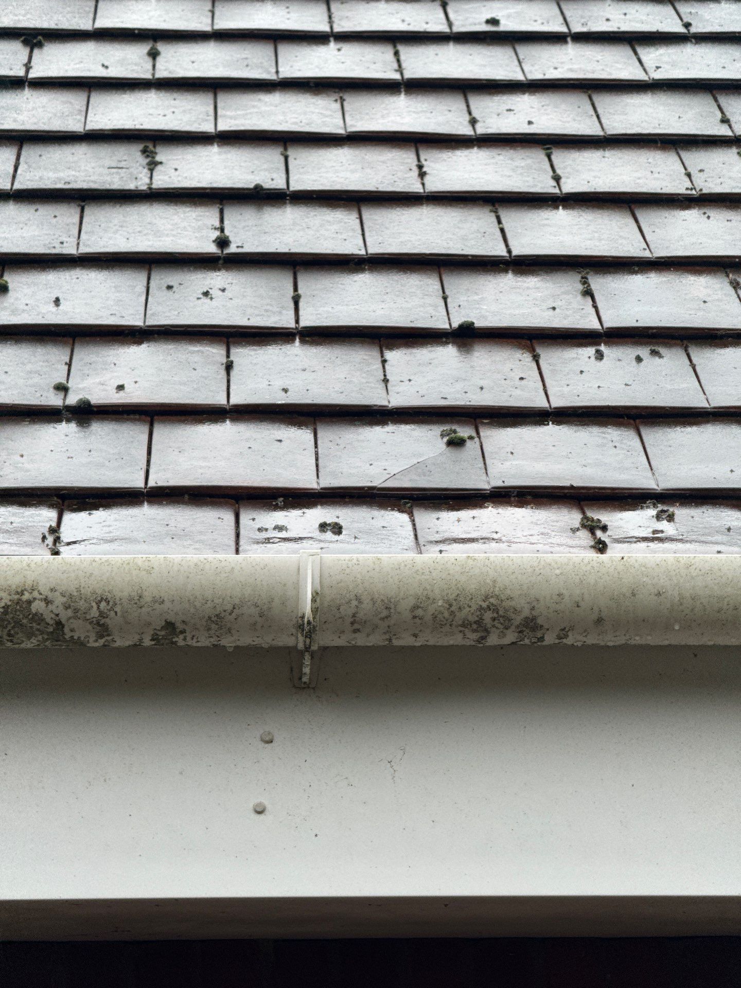 Large Care Home Roof Clean using Mosmatic FSC and Biocide by Ges Exterior Cleaning ltd