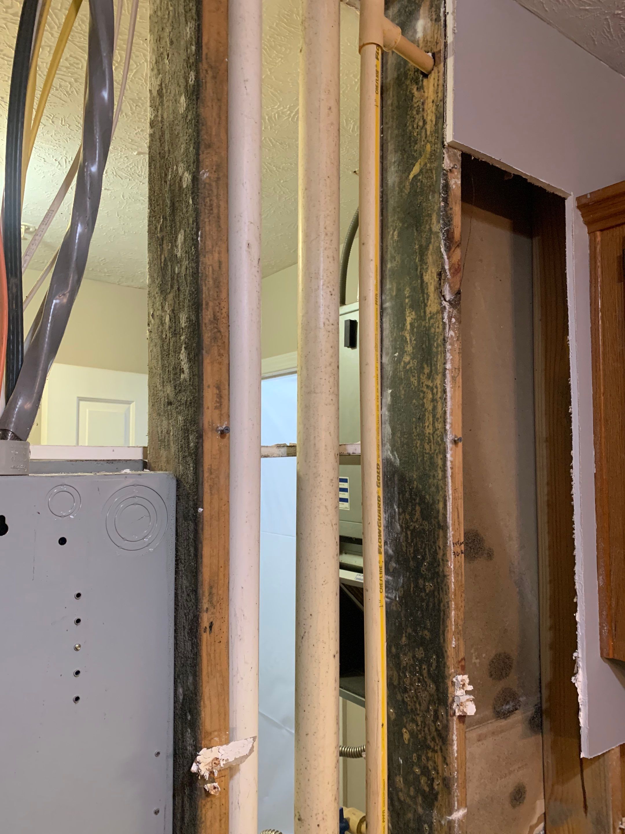 Interior Mold Remediation in Kitchen by ANR Restoration