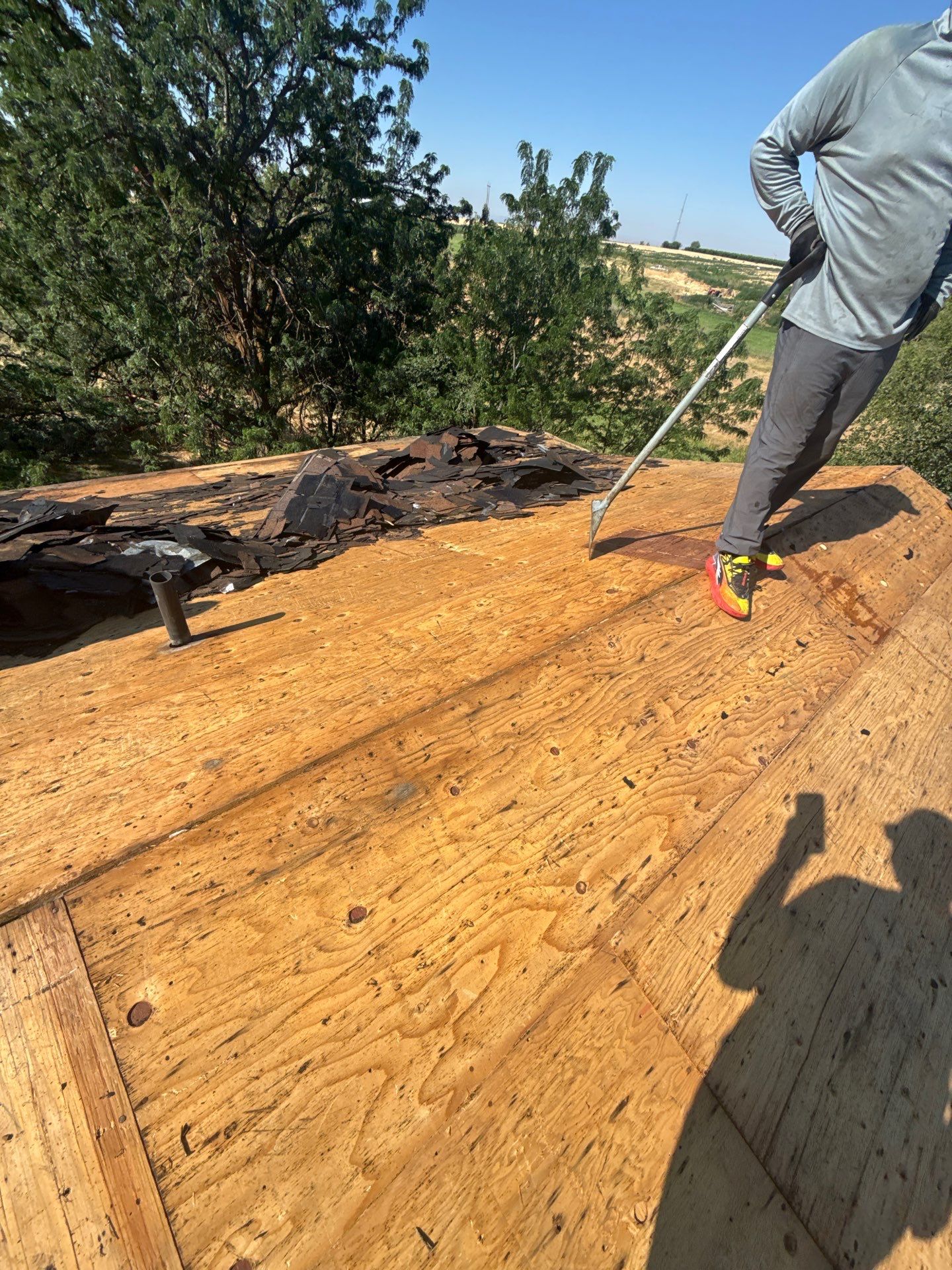 Full Residential Roof Replacement With Architectural Shingles In Fruitland Idaho by Olive Roofing