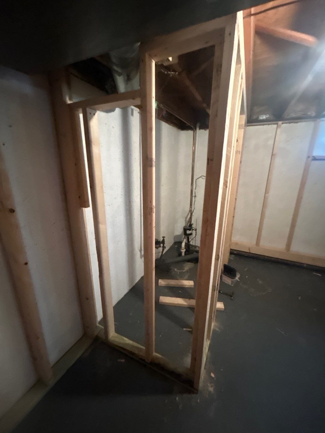 Basement Bathroom Remodel by Ivy Lea Construction