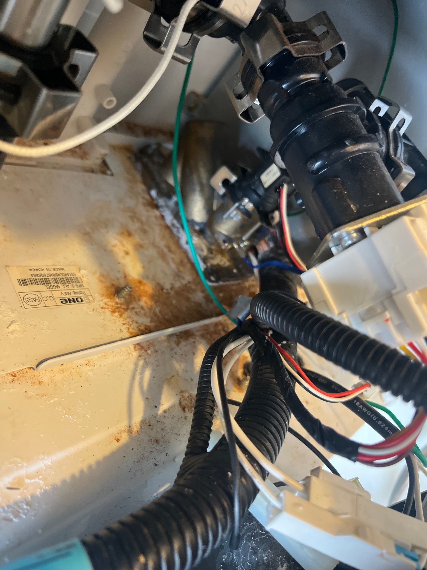 Project in Mustang by PRO-ROOTER