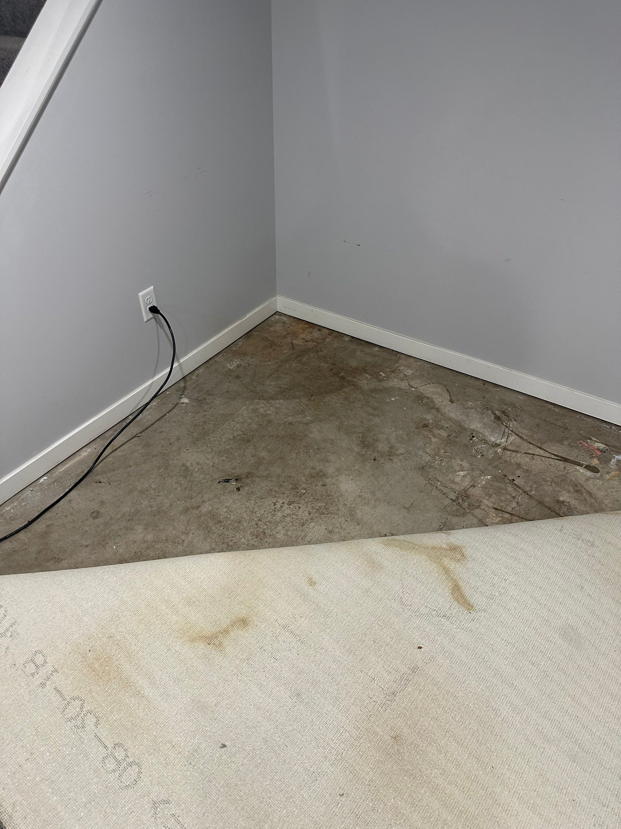 Basemen Oder removal with mold remediation and carpet pad replacement by BlueRed Restoration