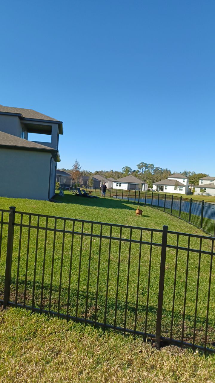 Parrish, FL 4 ft. Tall 3-Rail Black Aluminum  by Asap fence and gates, LLC