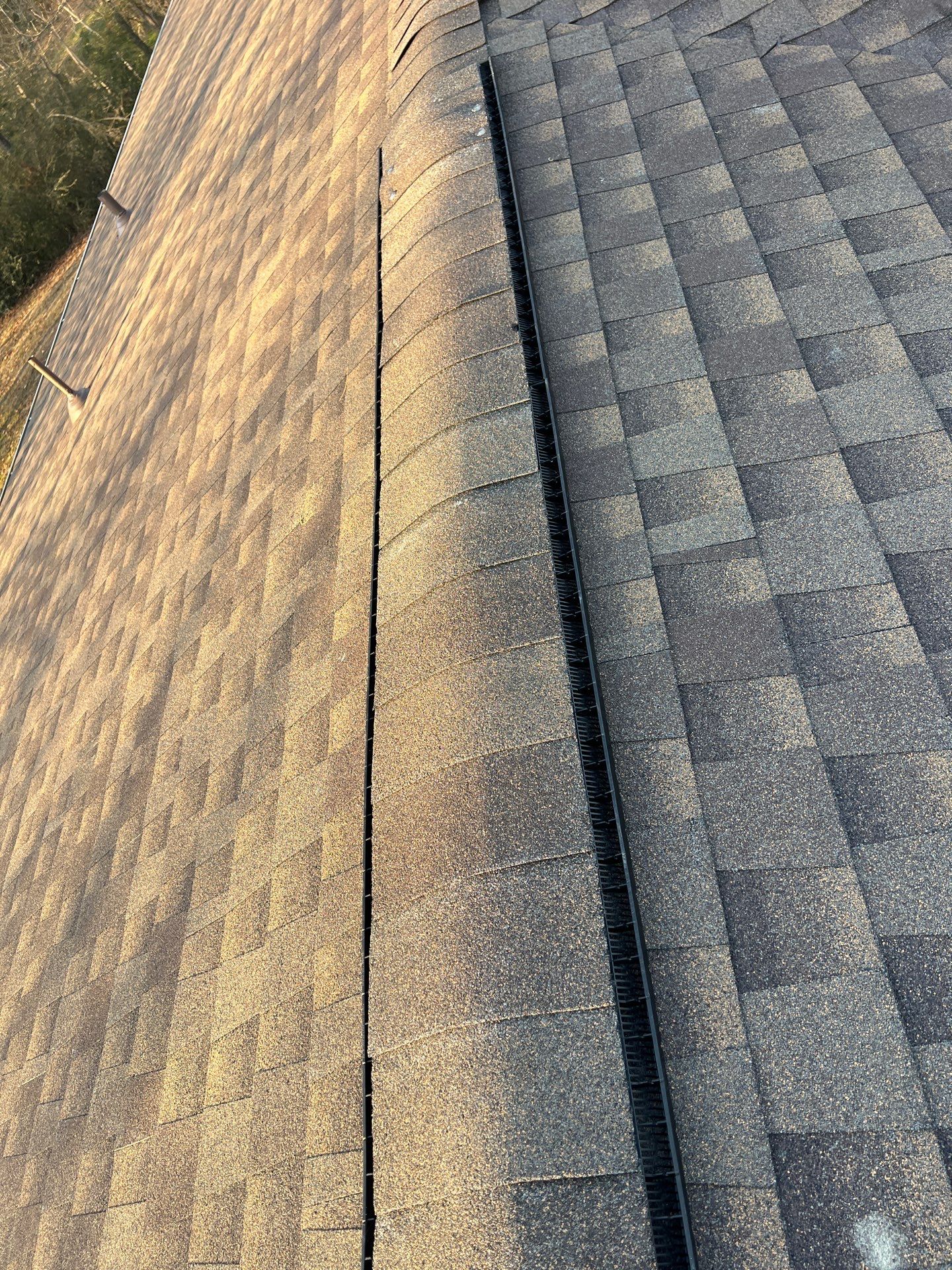 Roof Replacement (Barkwood) and Tree Removal in Birmingham  by The Roofing Dudes