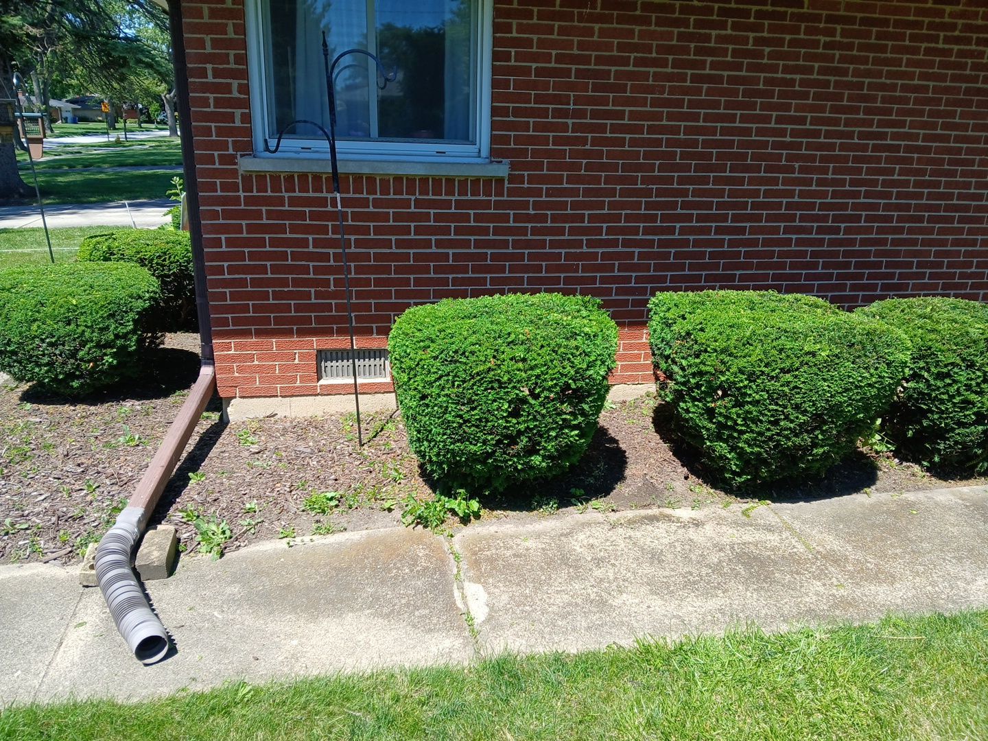 Martha C. - Mount Prospect, IL by A&N 
