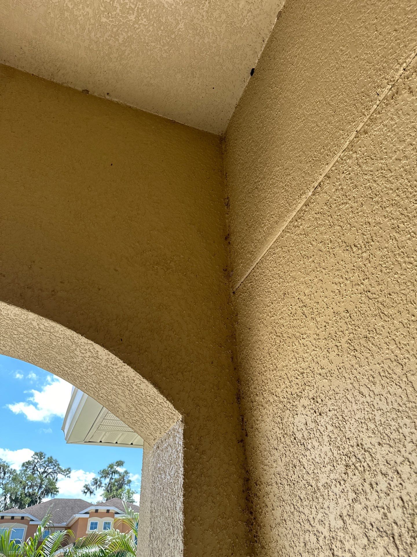 🏡 Full Exterior Cleaning – Old Mill Preserve, Palmetto, FL by Sunshine AquaWash