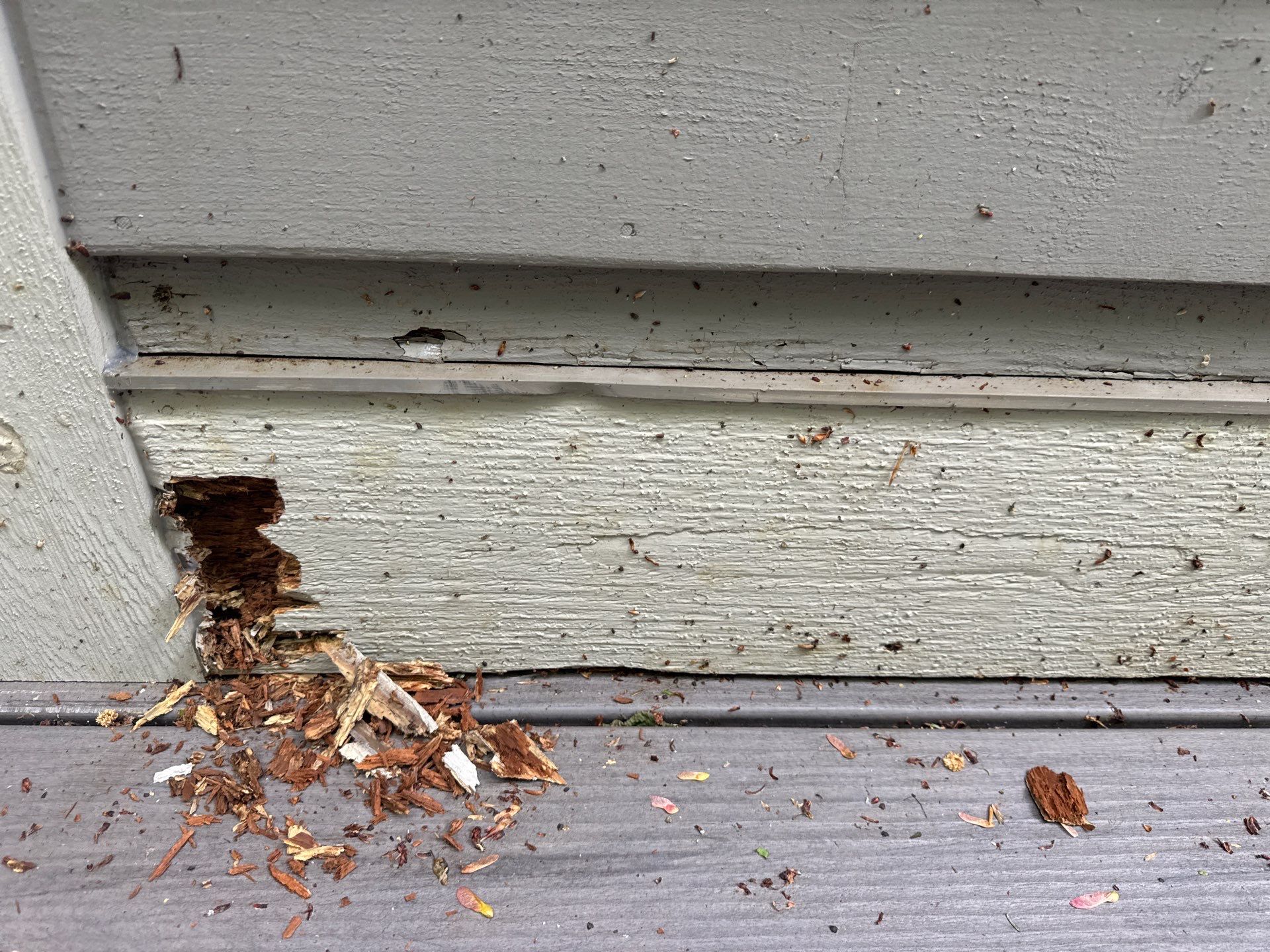Exterior Siding Repairs and Epoxy Flake Floor in Spring Lake by Gordon Painting