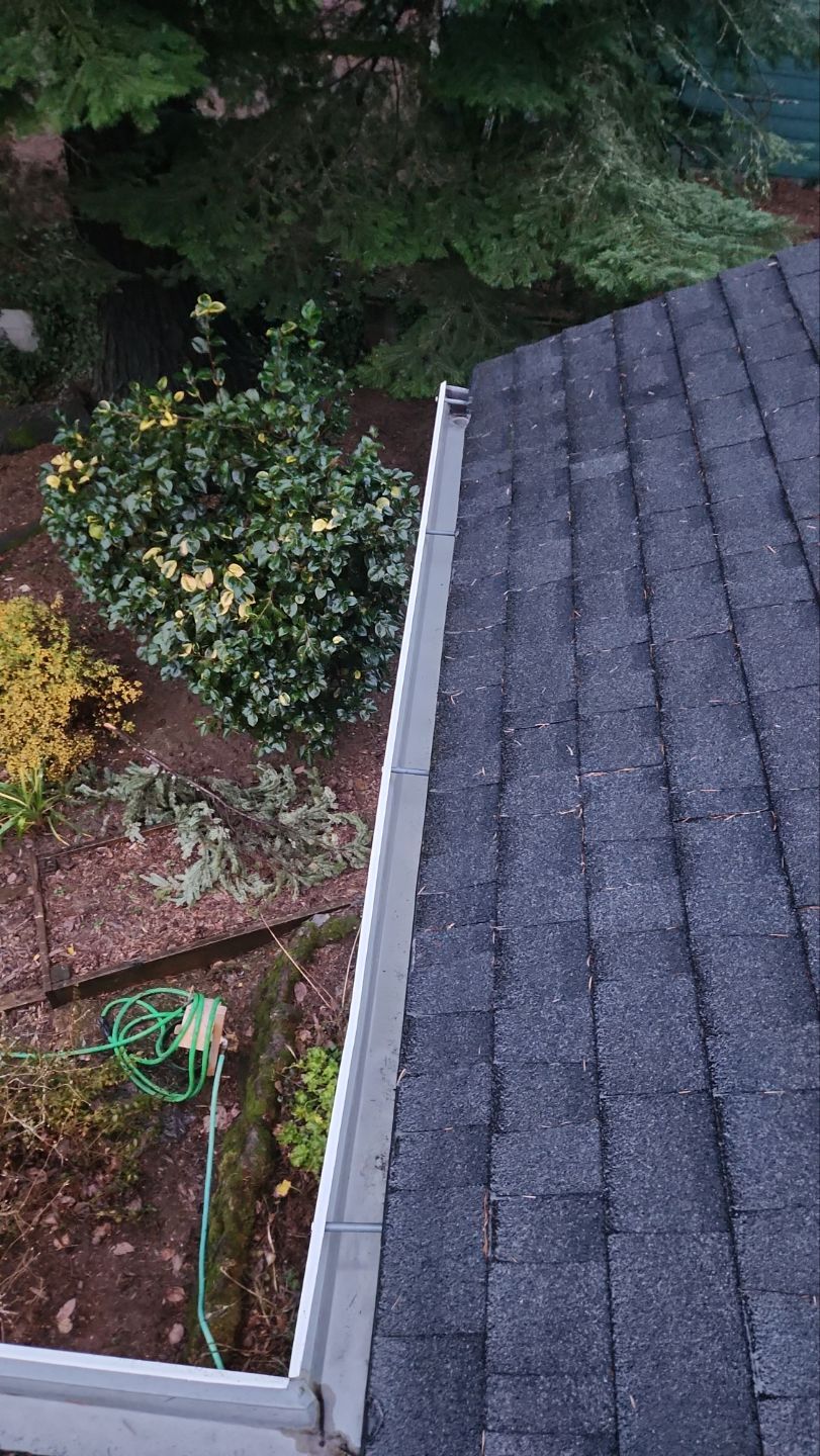 Driveway Repair using Pressure washing no chemicals by Willamette Outdoor Wash LLC