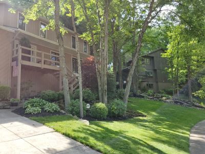 Tree Trimming using Tree Pruing