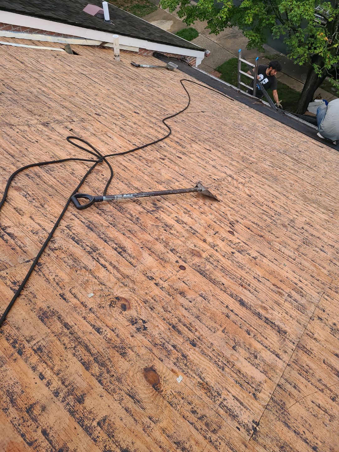 Arlington: Residential Roof Replacement with Perfection CCA-Treated Cedar Shakes by RM Banning, Inc.