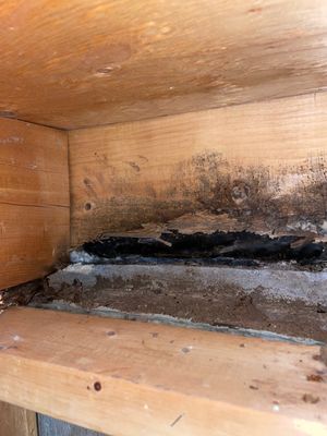 Demolition after Infra-red inspection