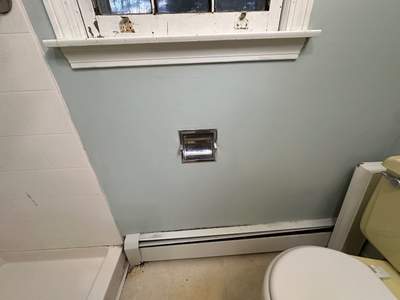 Bathroom Mold Remediation