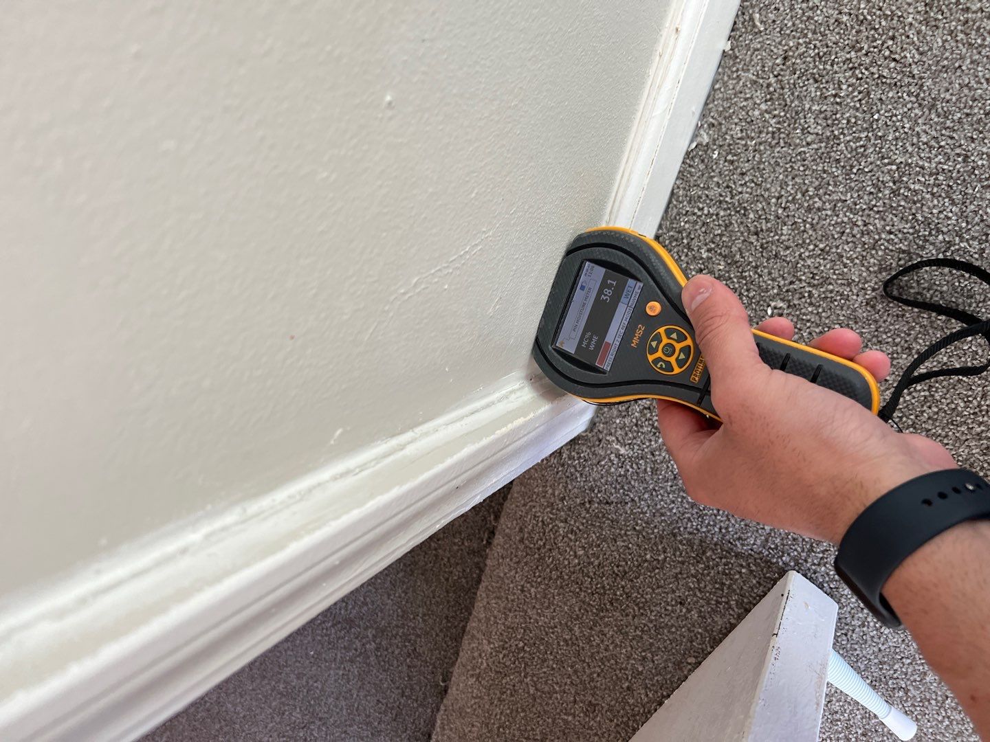 Project in Novi by EzDry Water Mitigation & Property Restoration